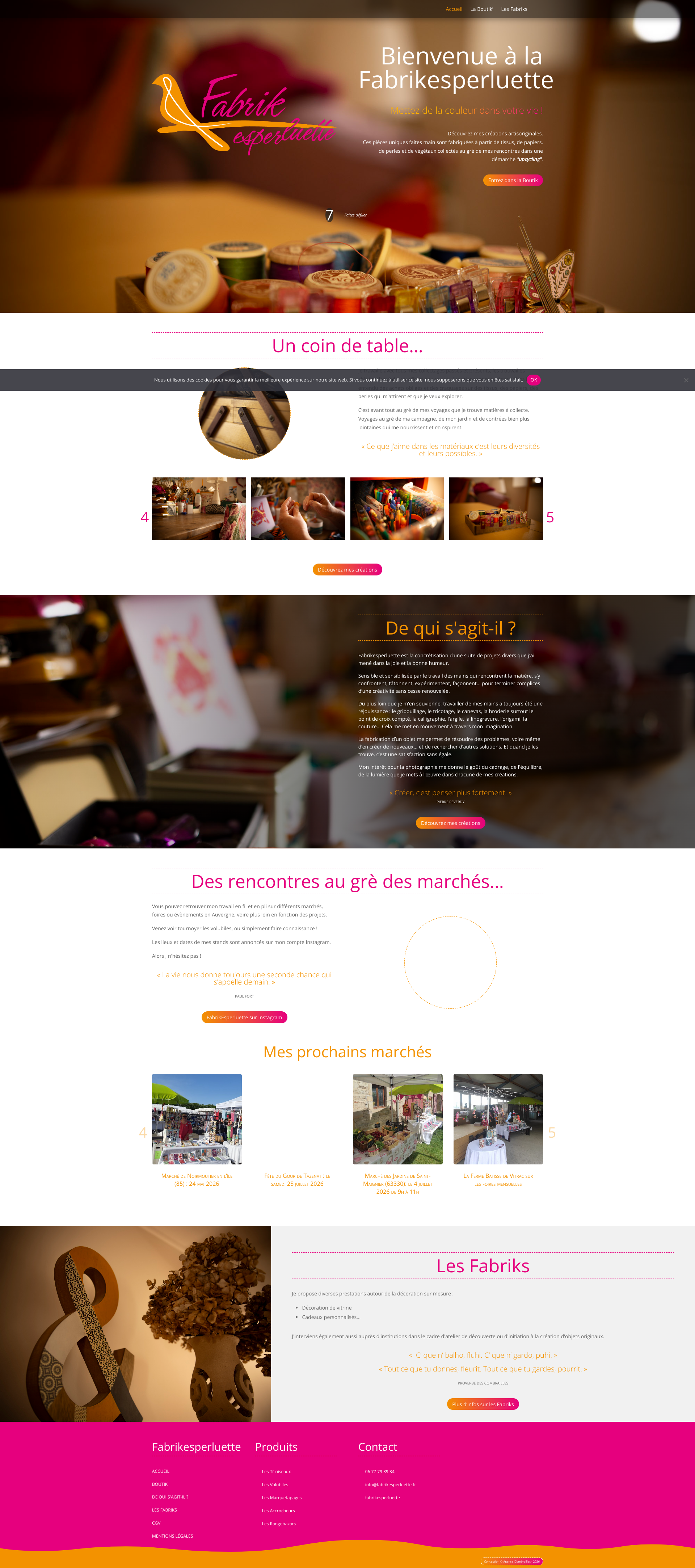 Aperçu du site