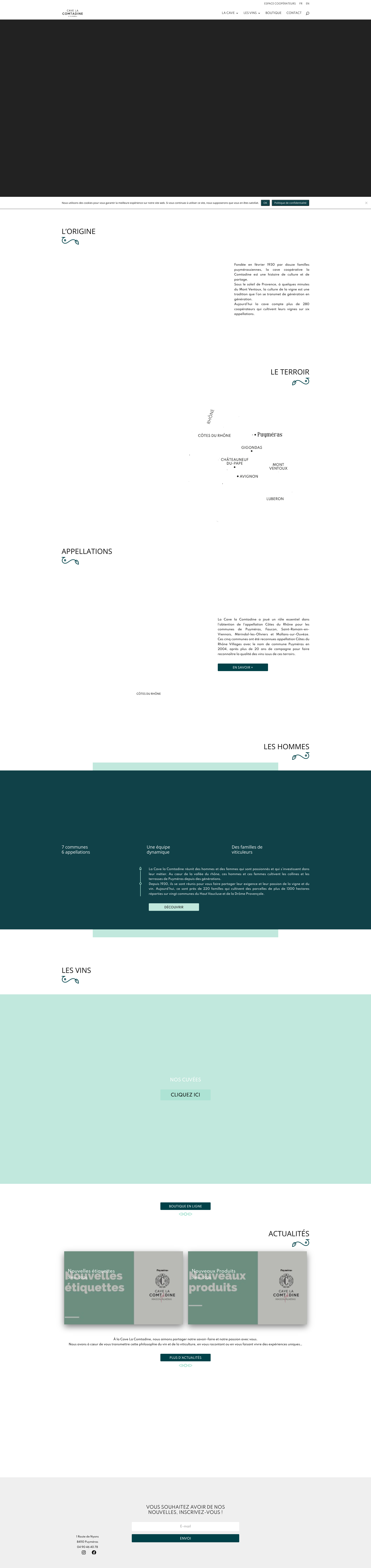Aperçu du site
