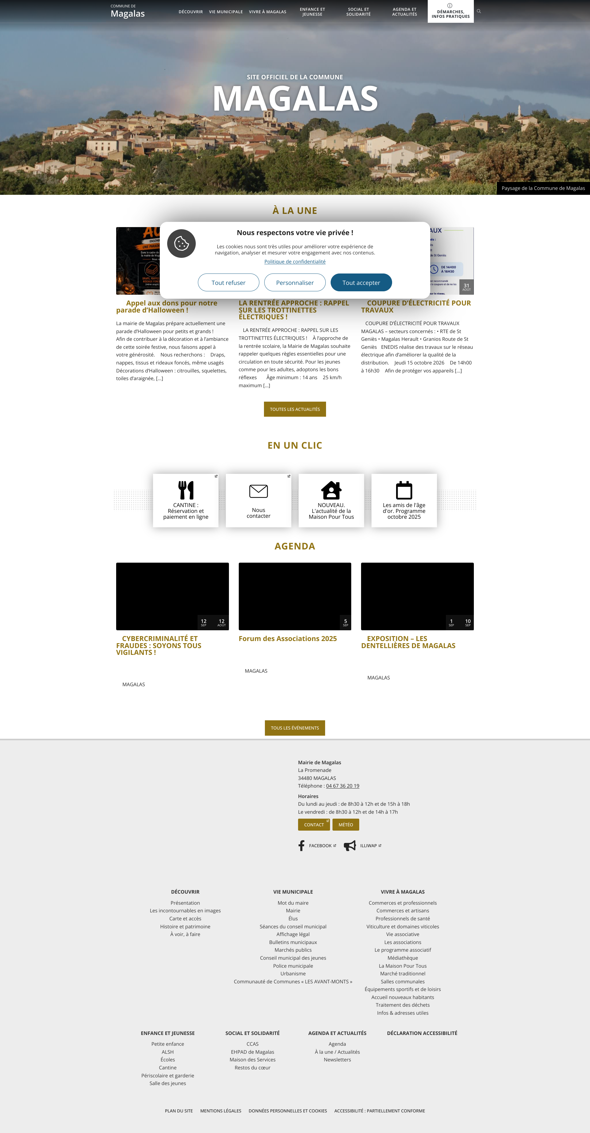 Aperçu du site