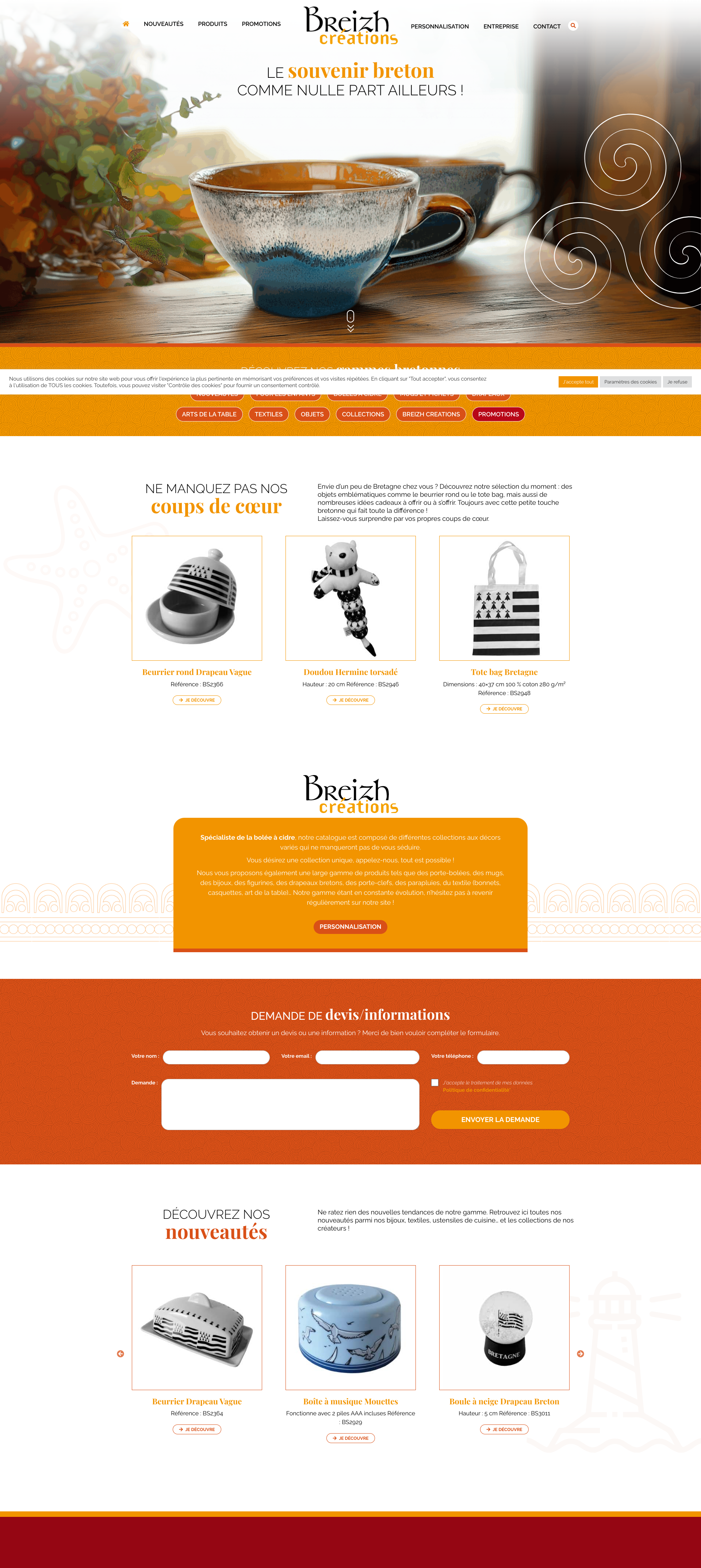 Aperçu du site