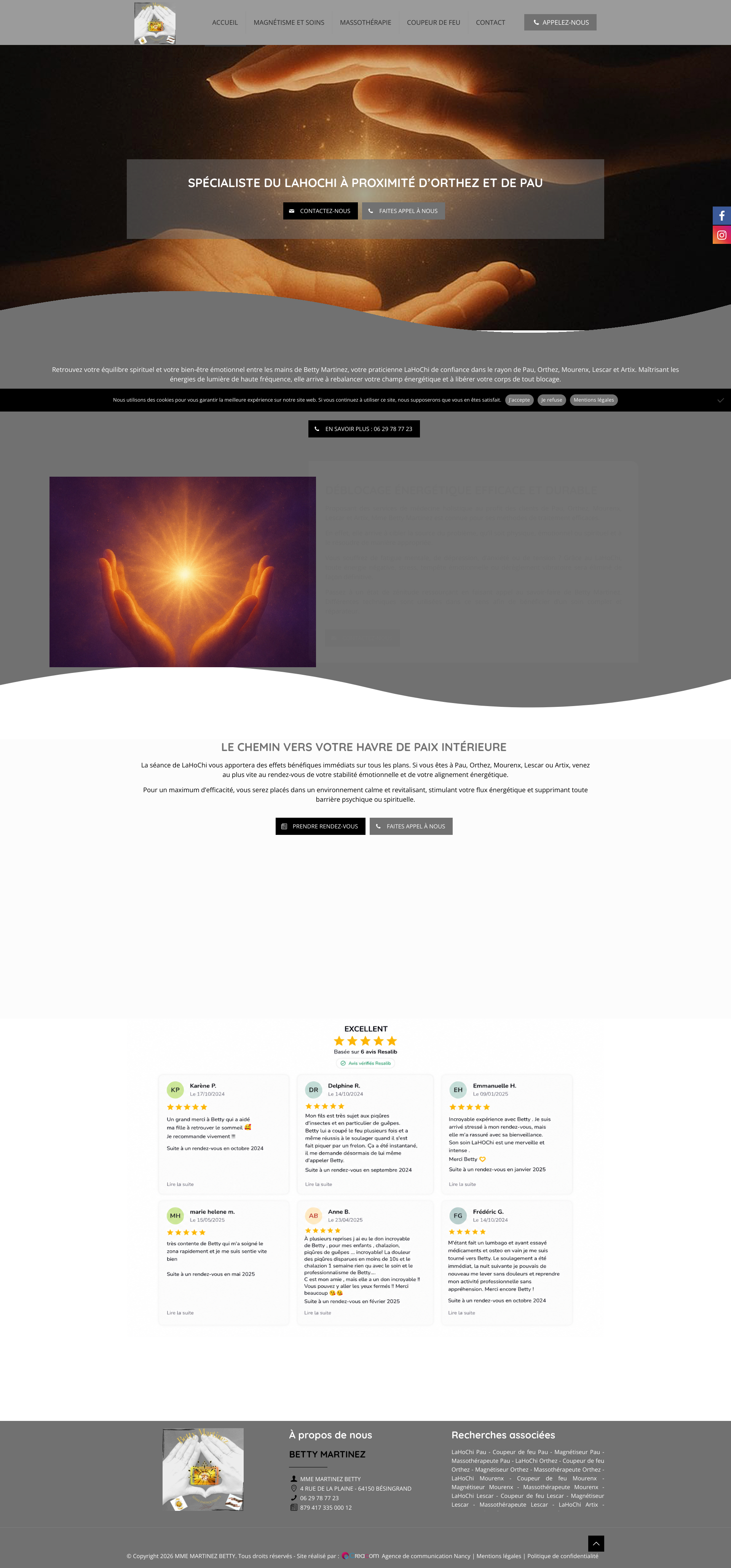 Aperçu du site