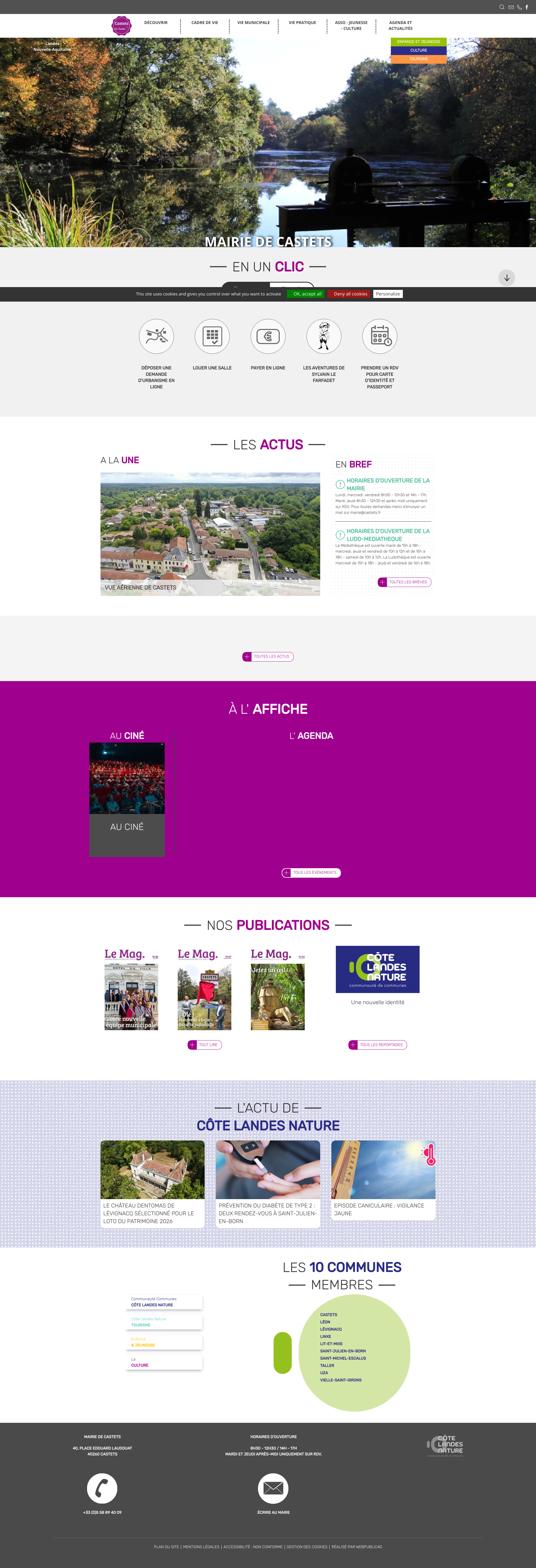 Aperçu du site