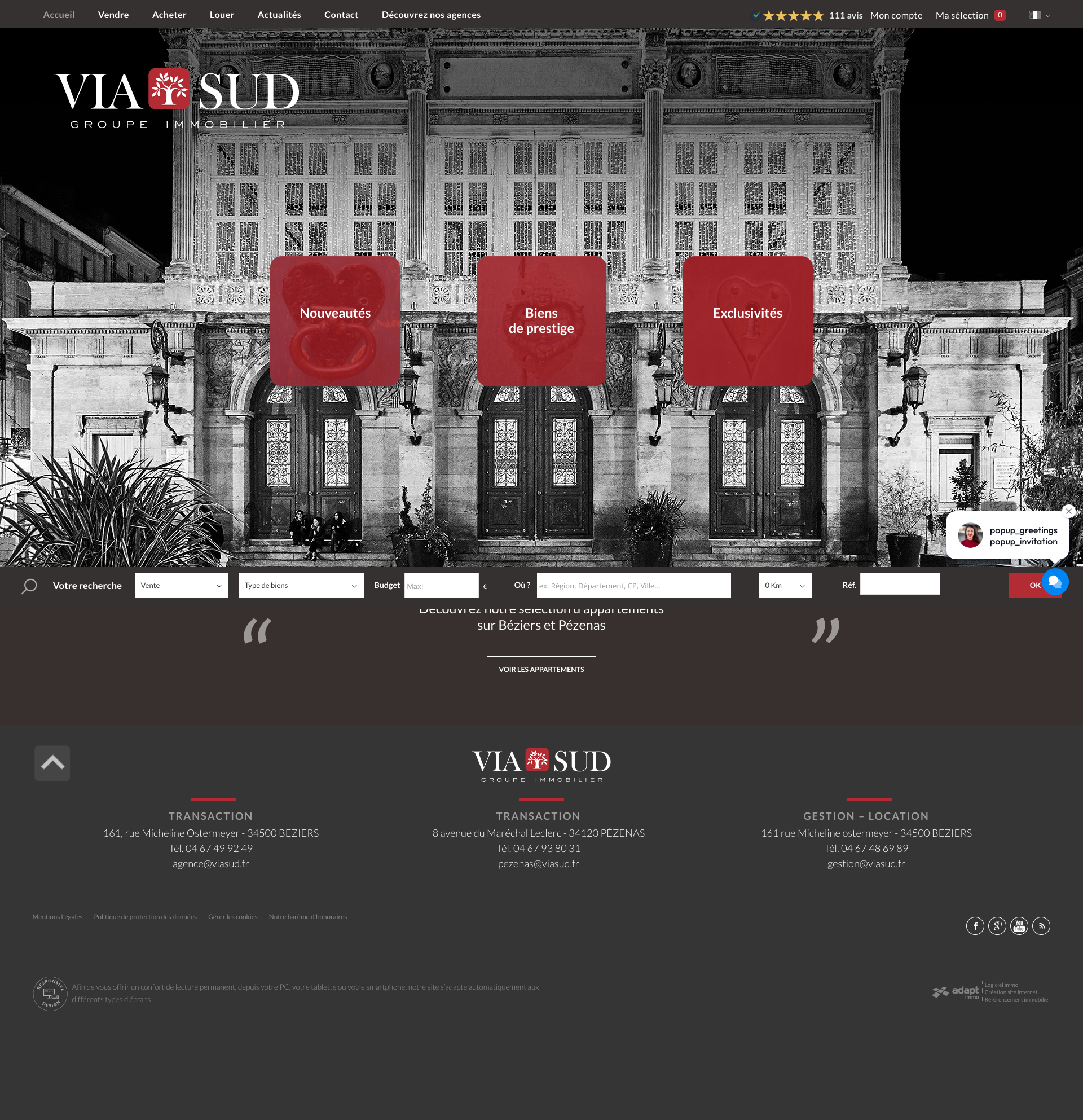 Aperçu du site