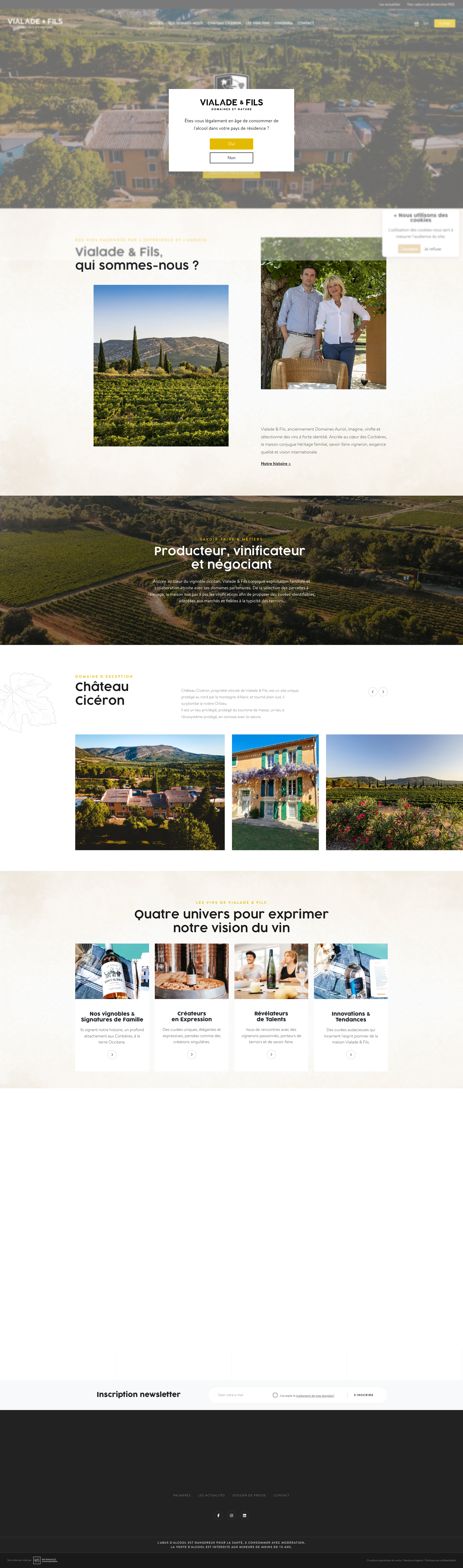 Aperçu du site