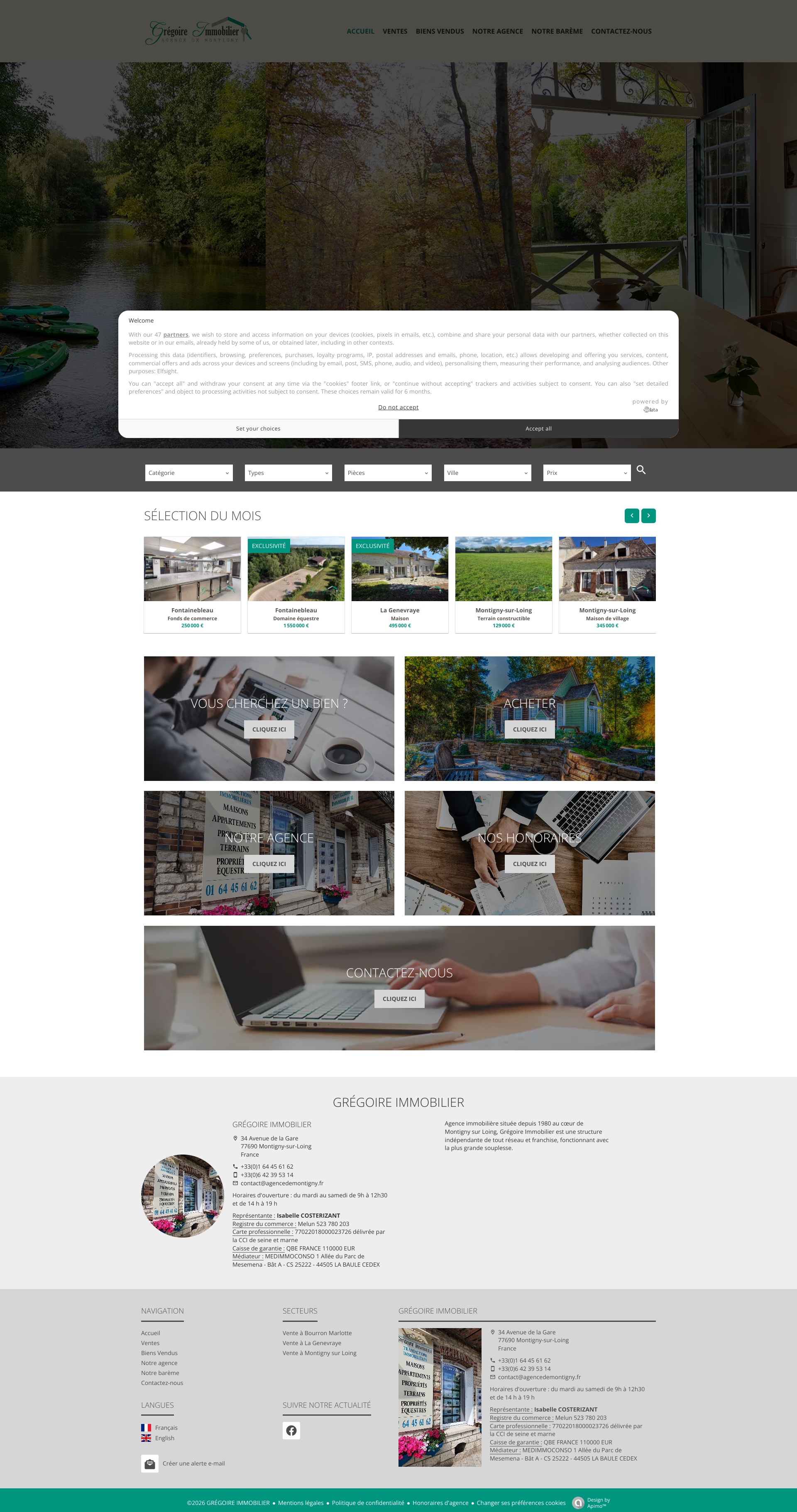 Aperçu du site