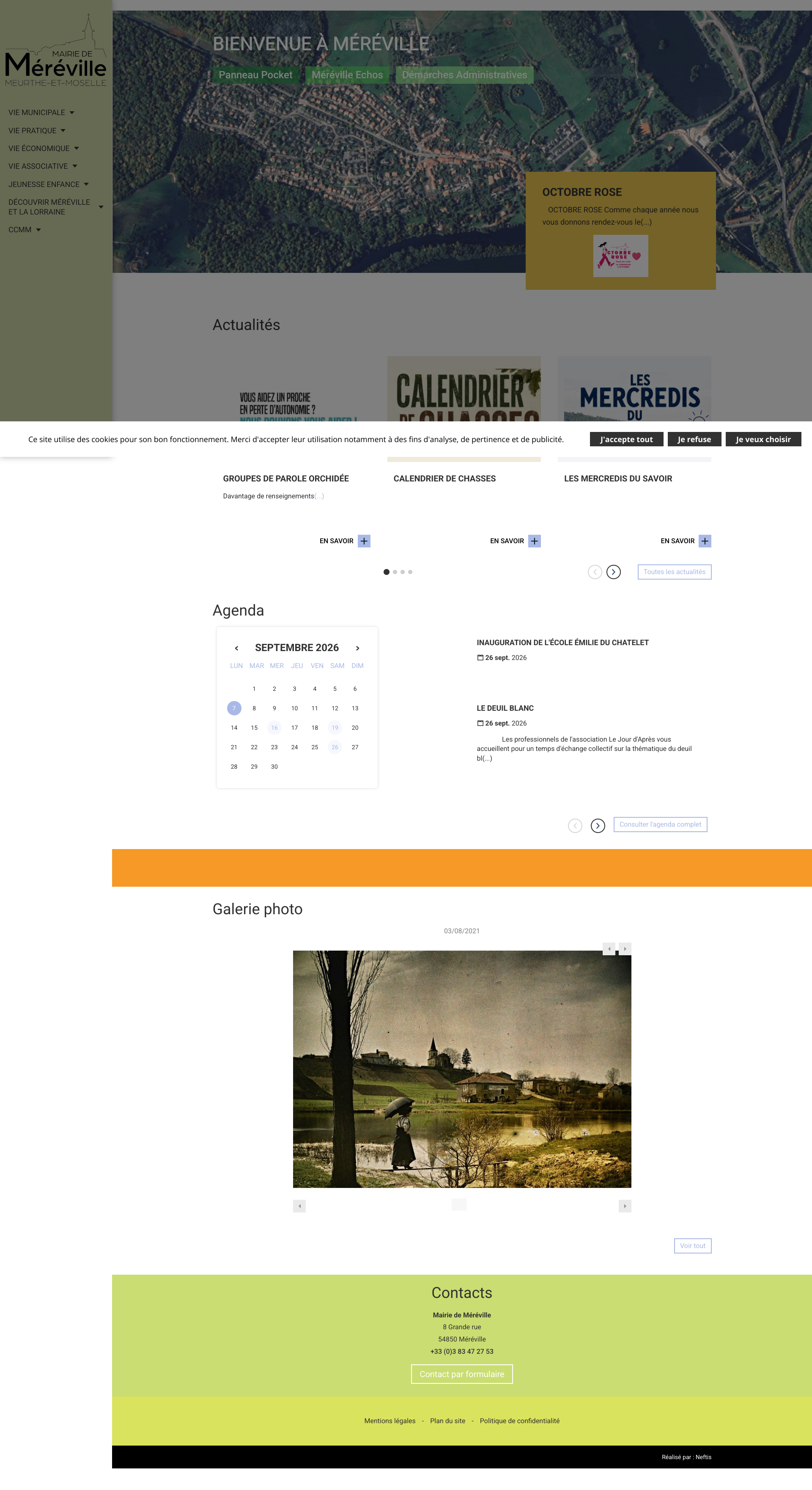 Aperçu du site