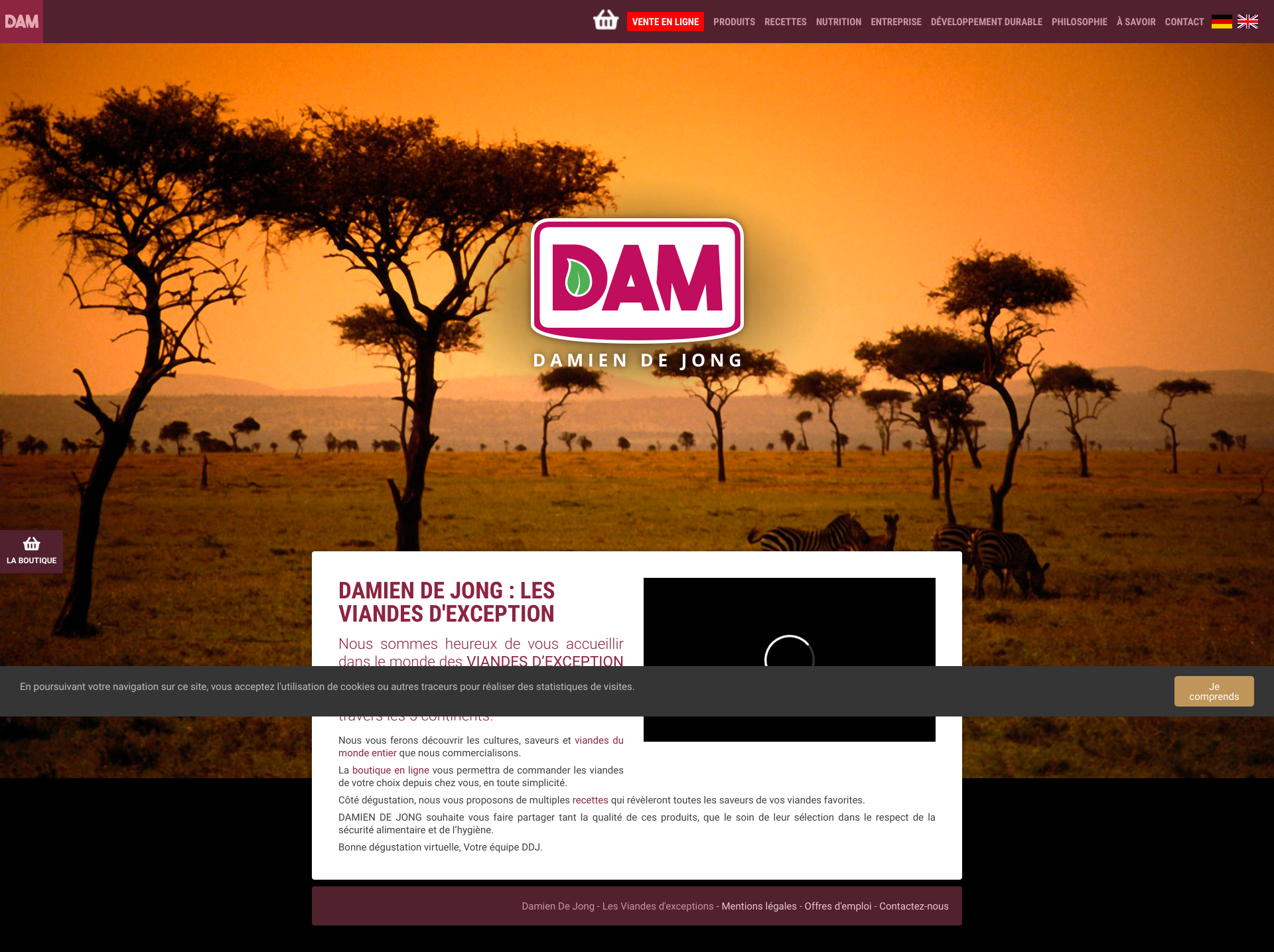 Aperçu du site
