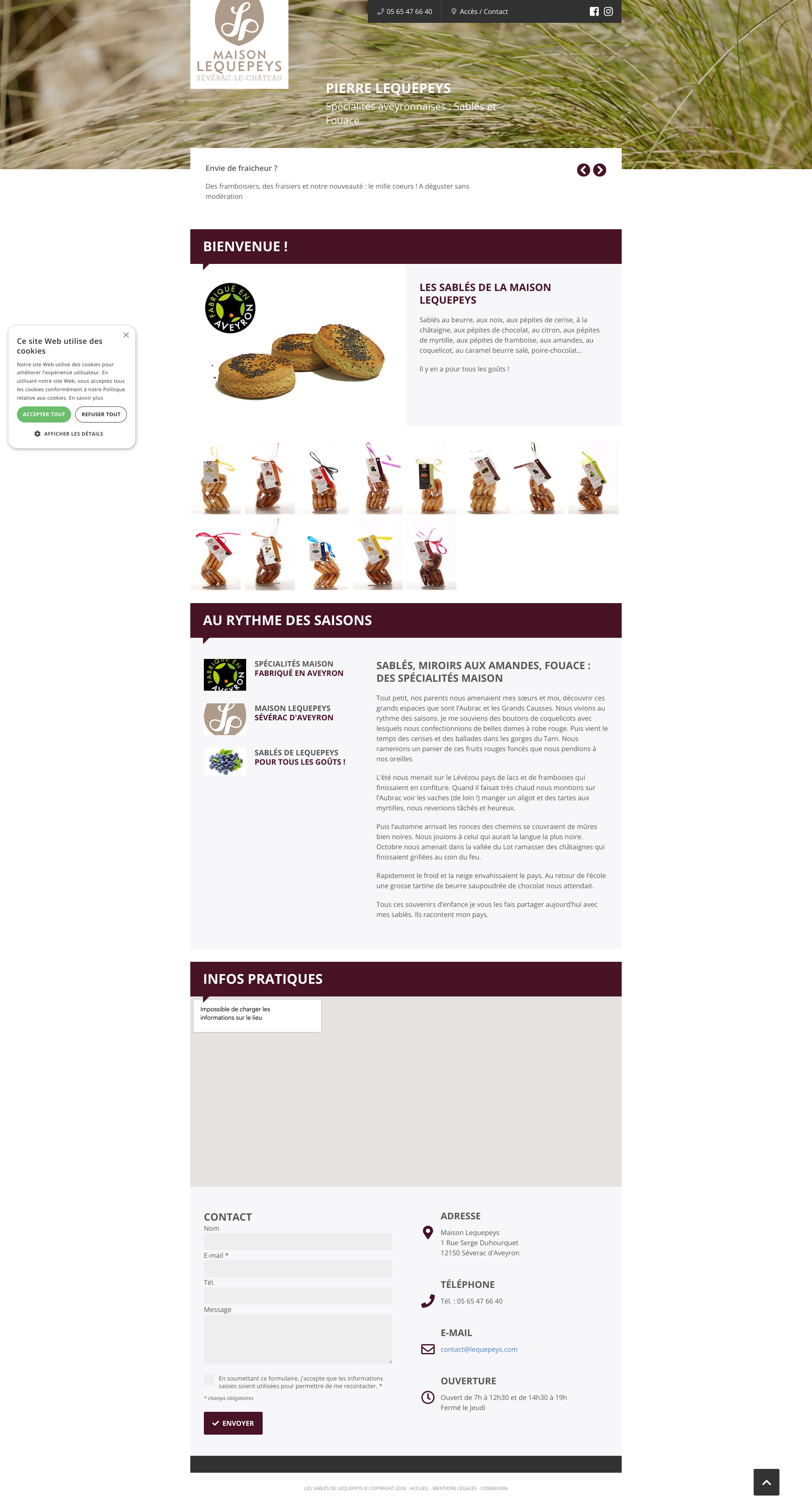 Aperçu du site