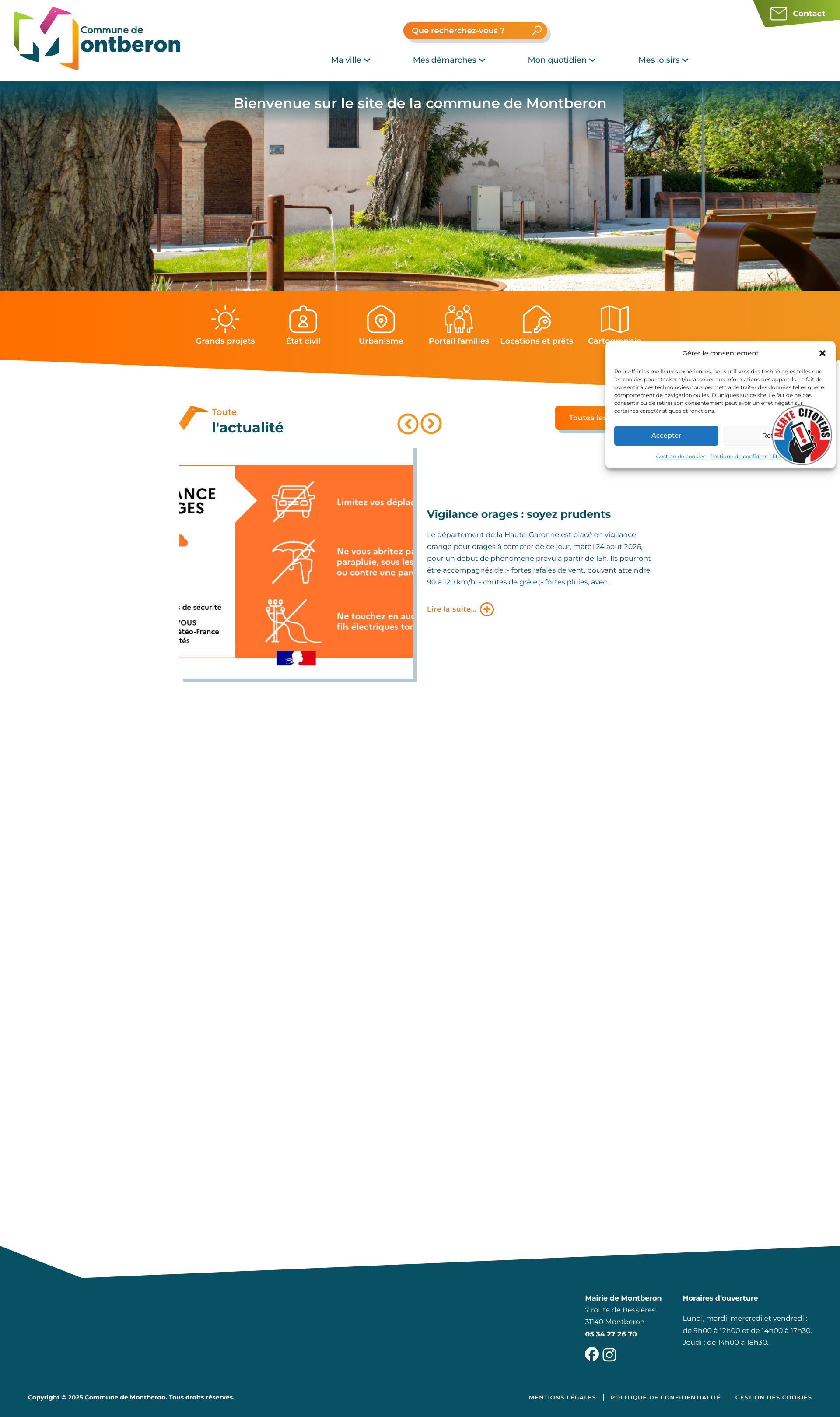 Aperçu du site