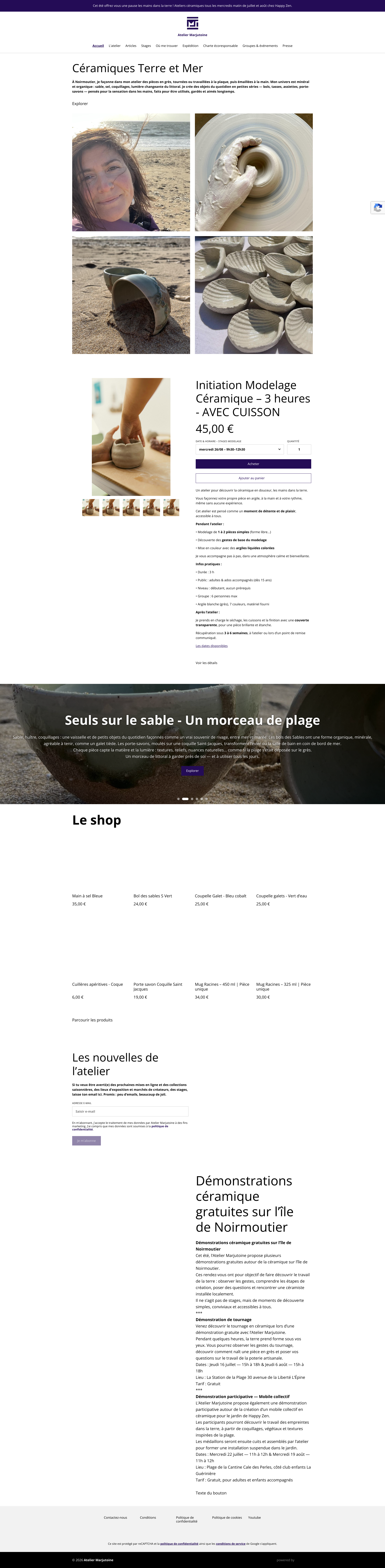 Aperçu du site