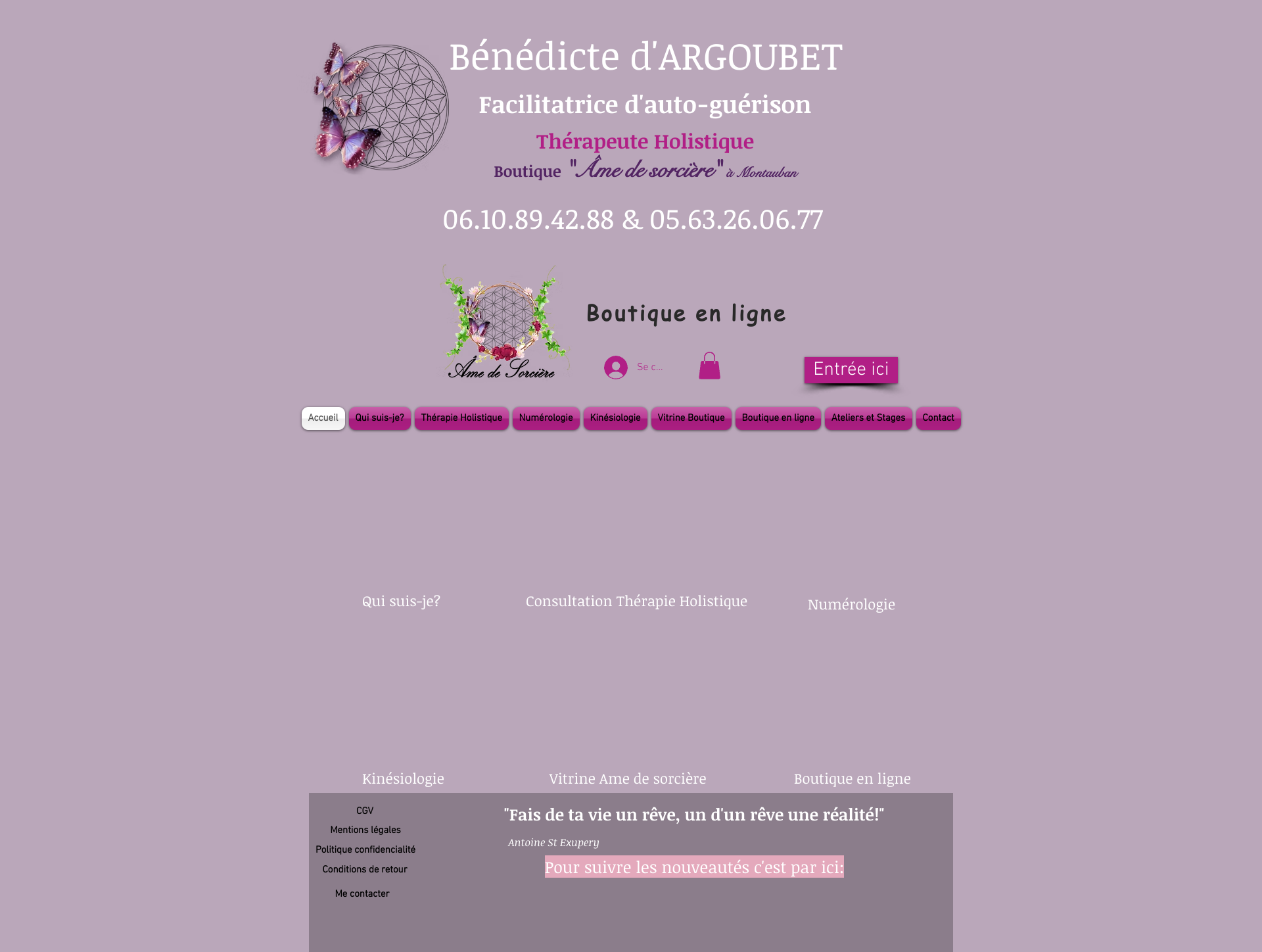 Aperçu du site