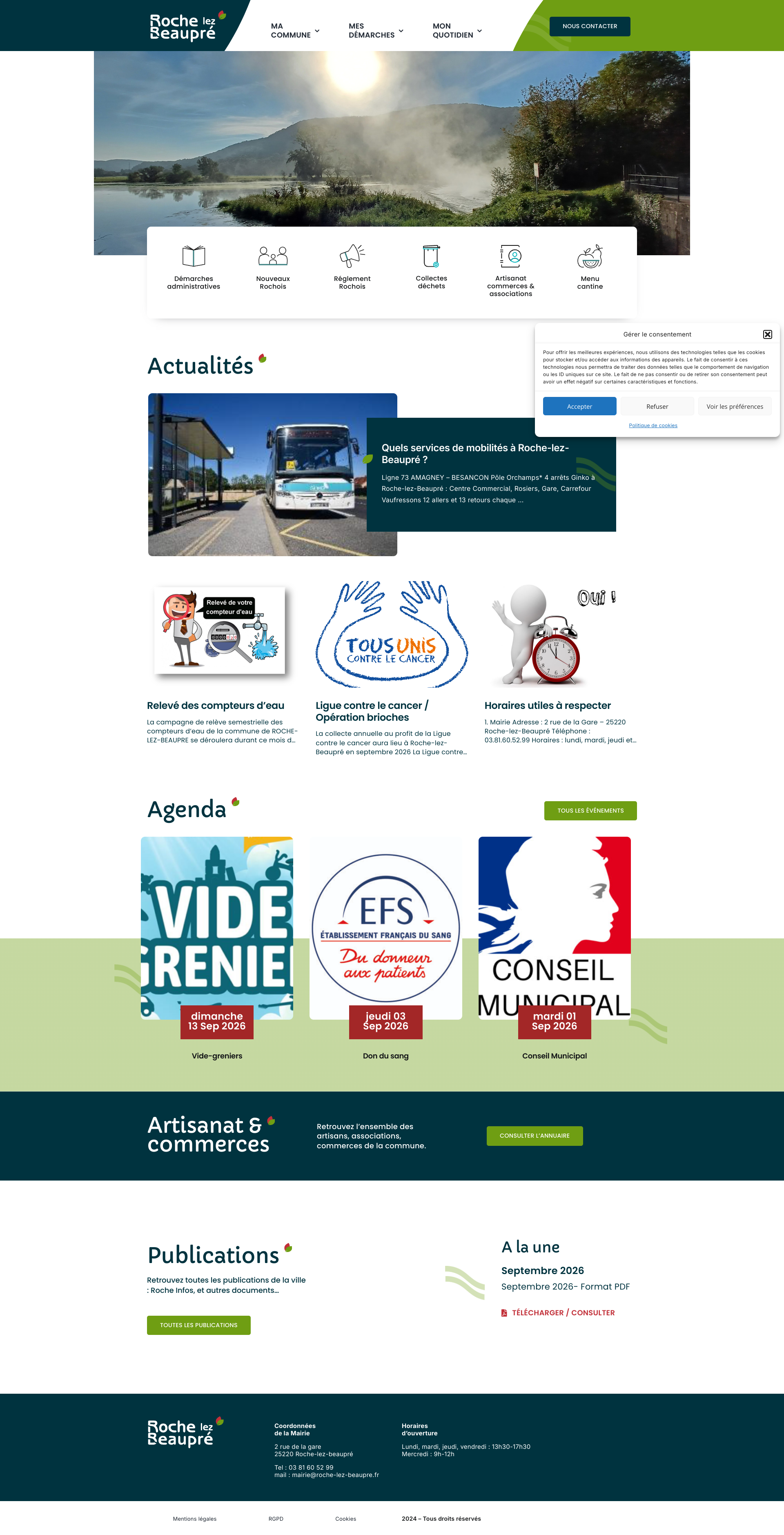 Aperçu du site