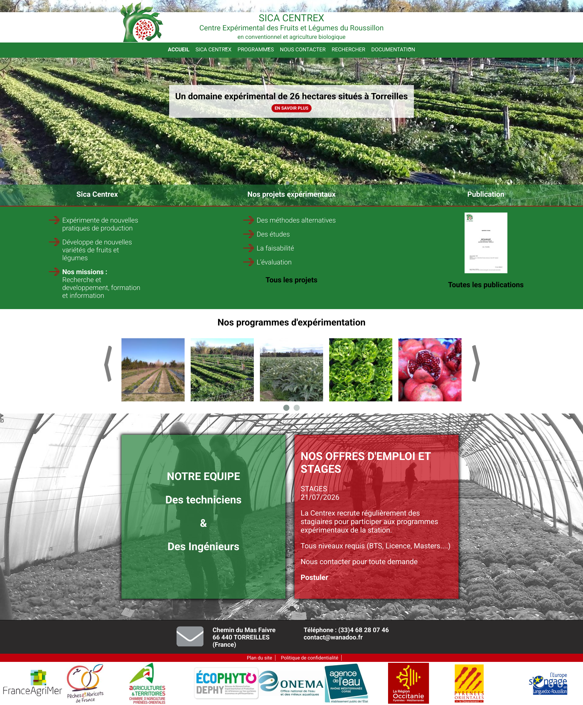 Aperçu du site