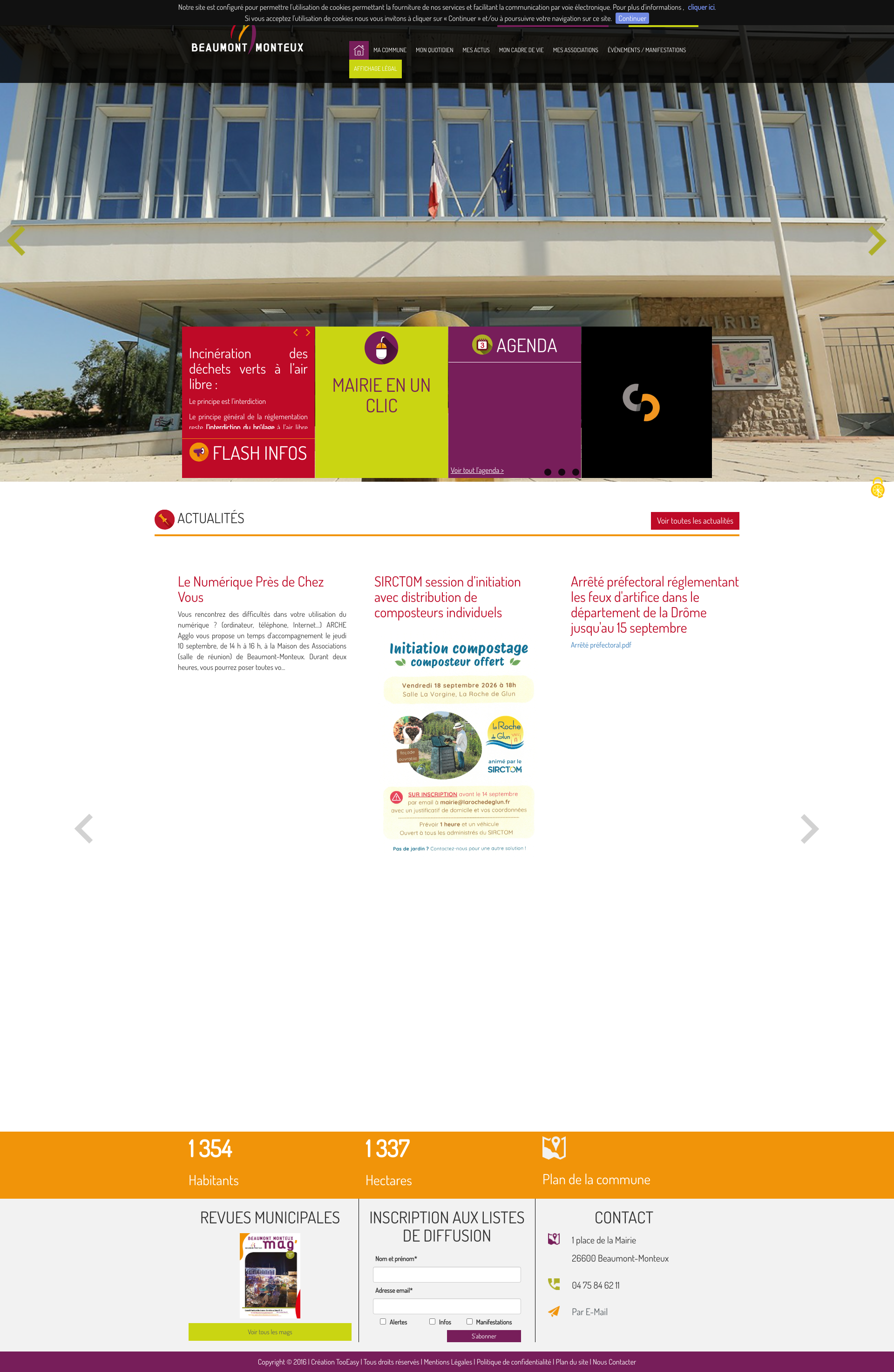 Aperçu du site