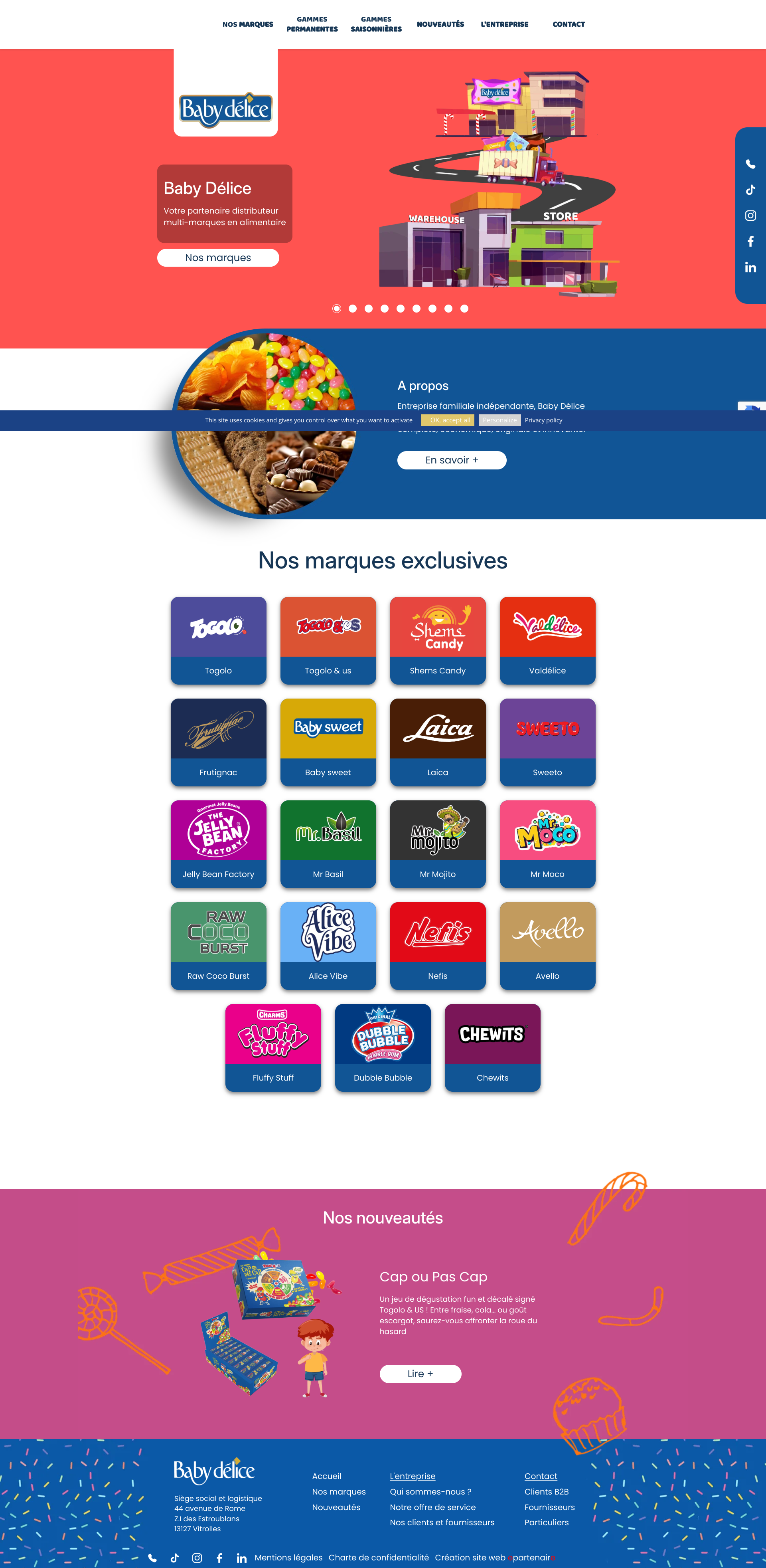Aperçu du site