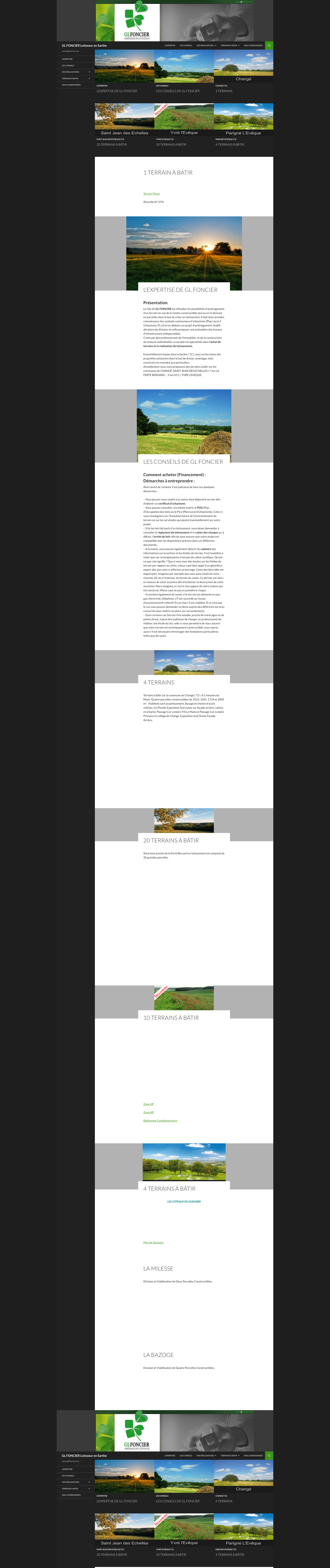 Aperçu du site