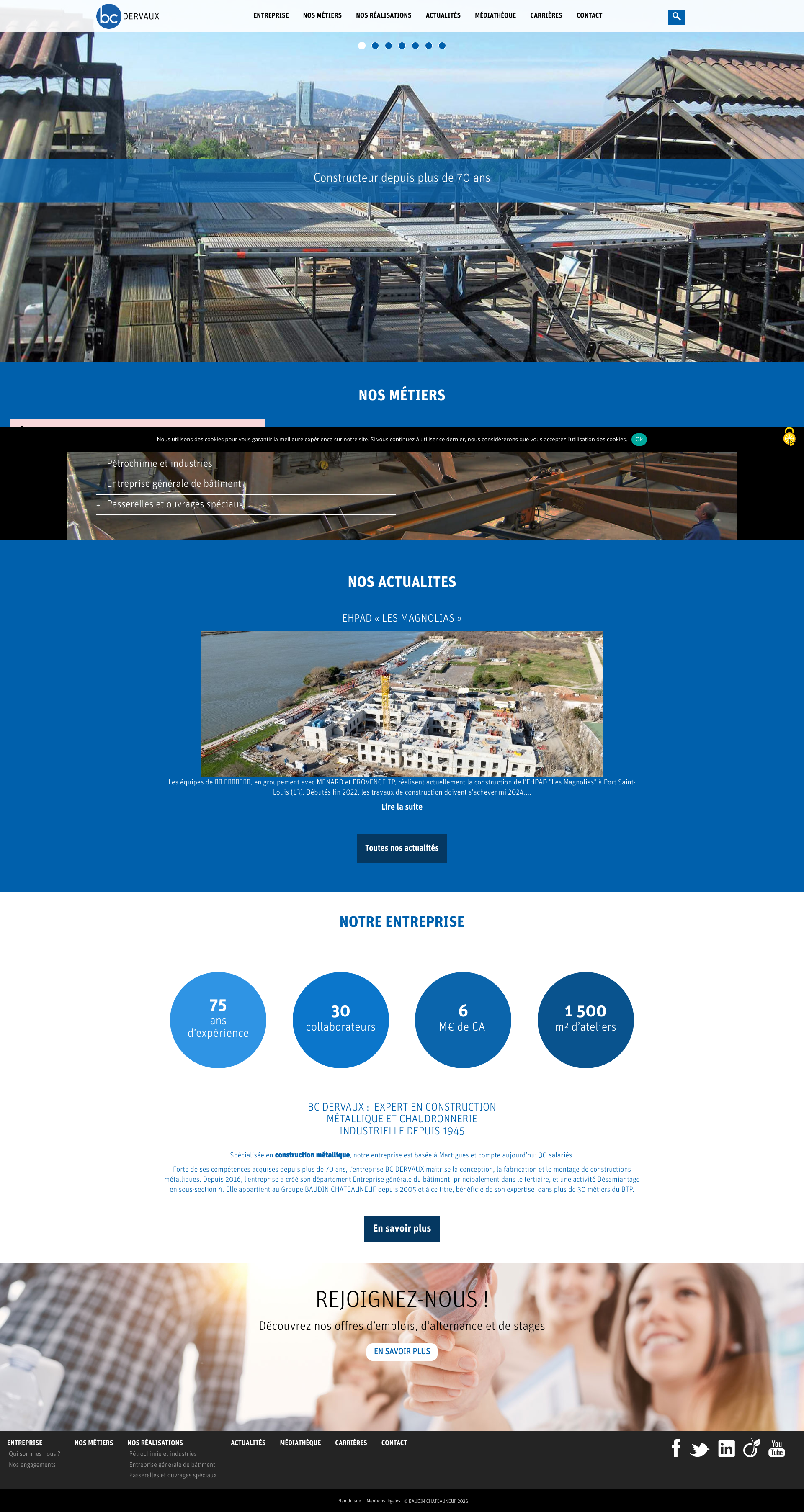 Aperçu du site