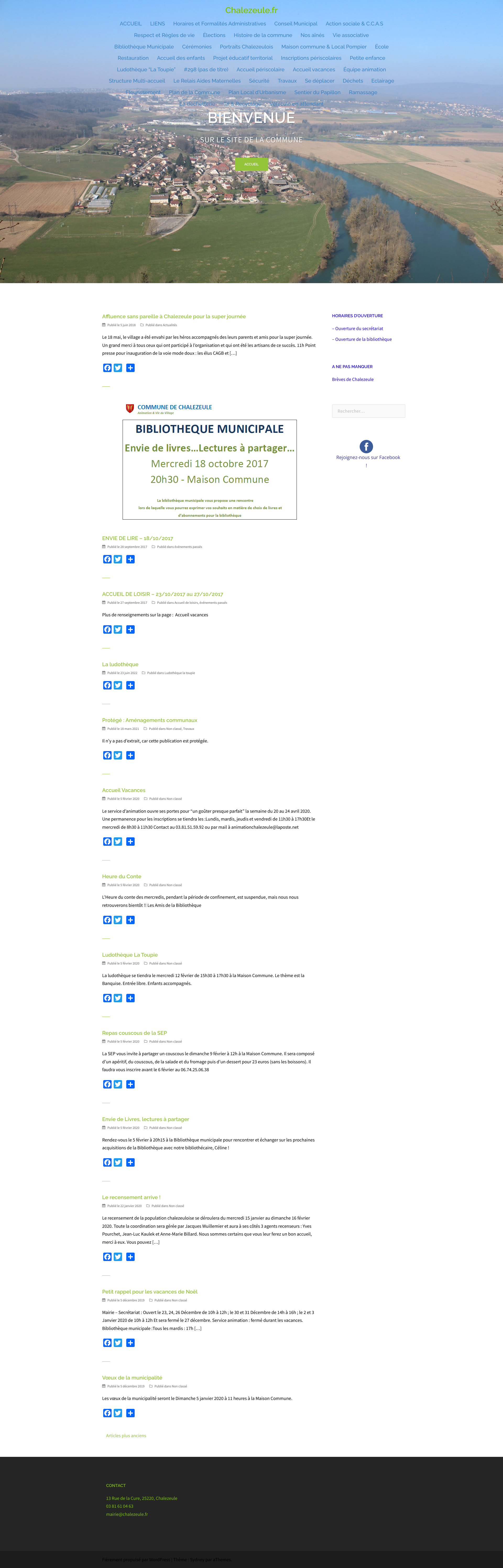 Aperçu du site