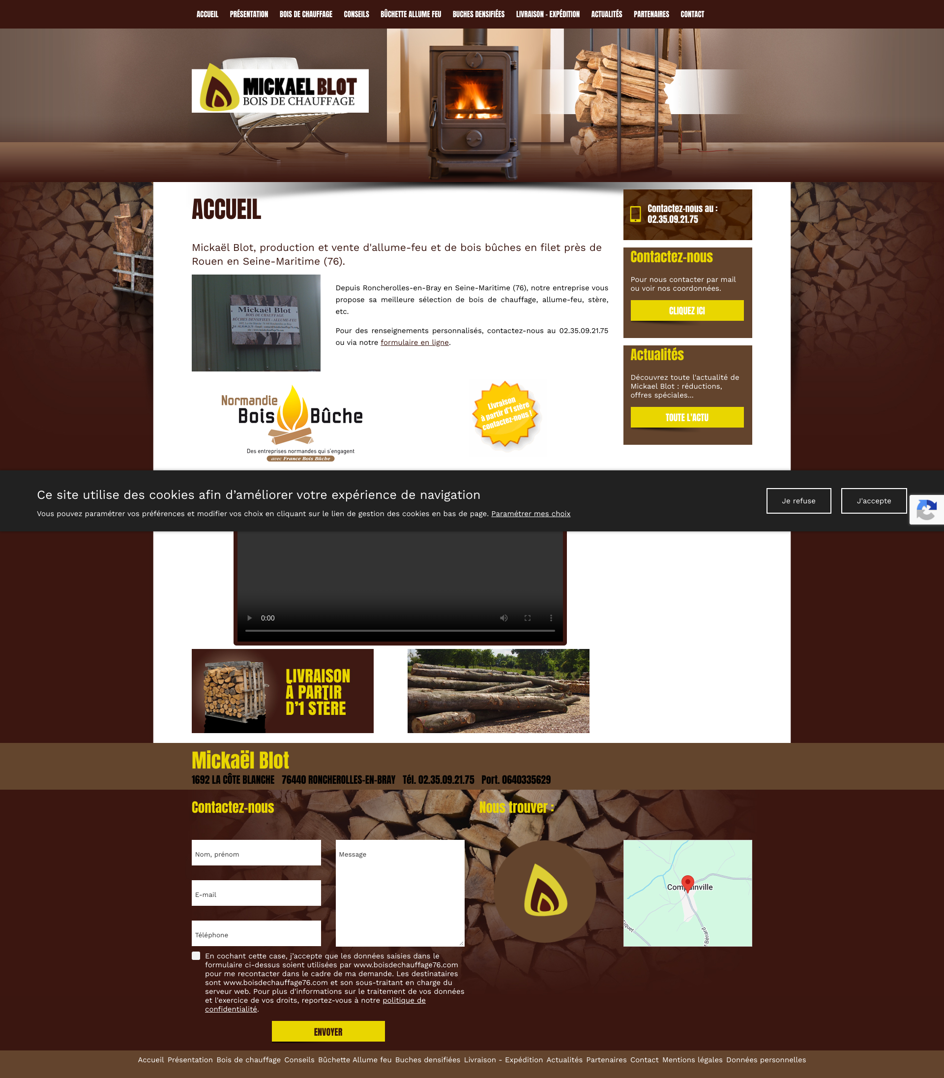 Aperçu du site