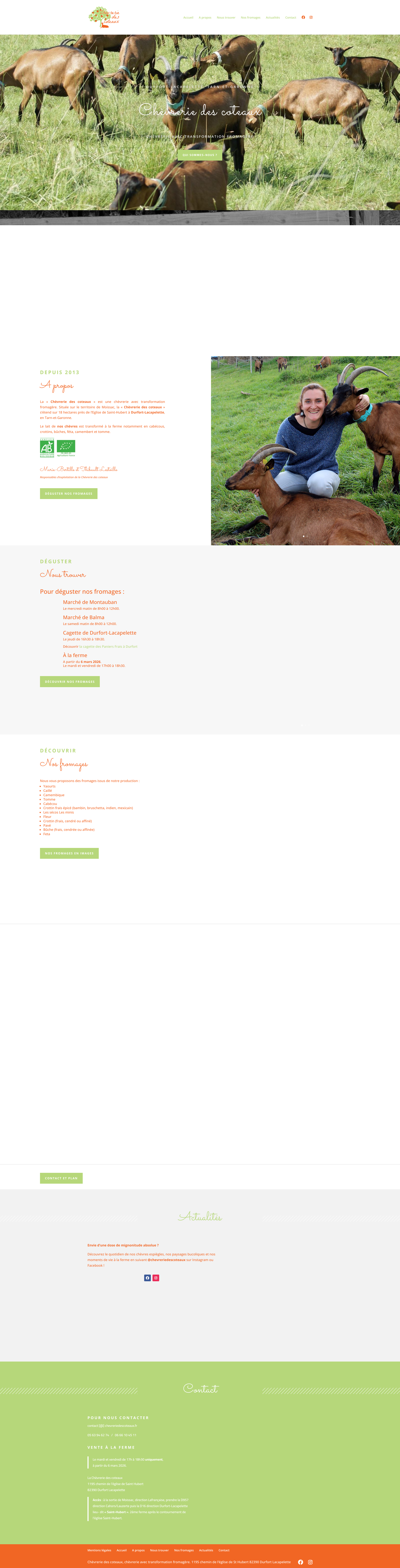 Aperçu du site