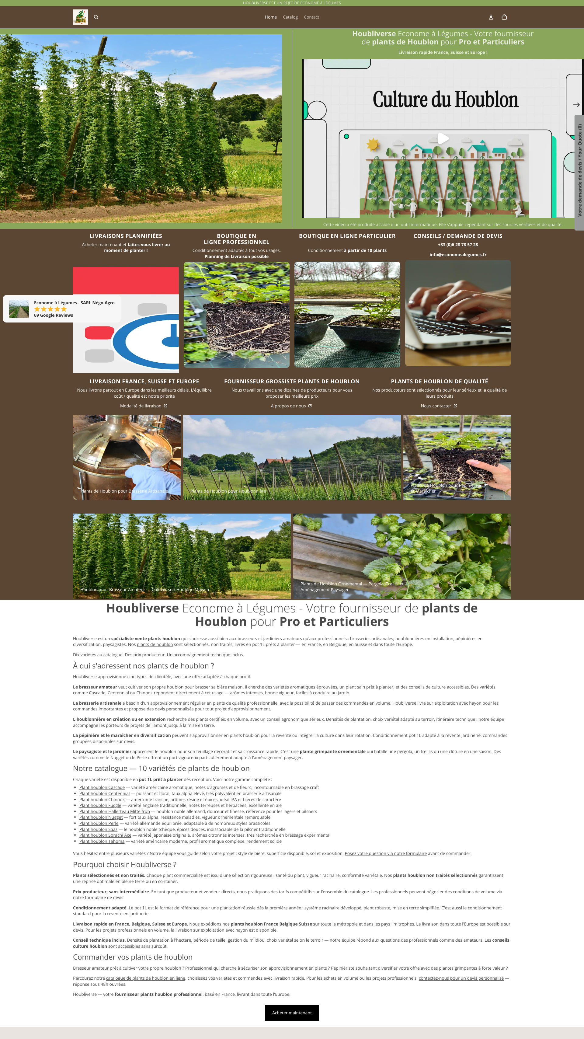Aperçu du site