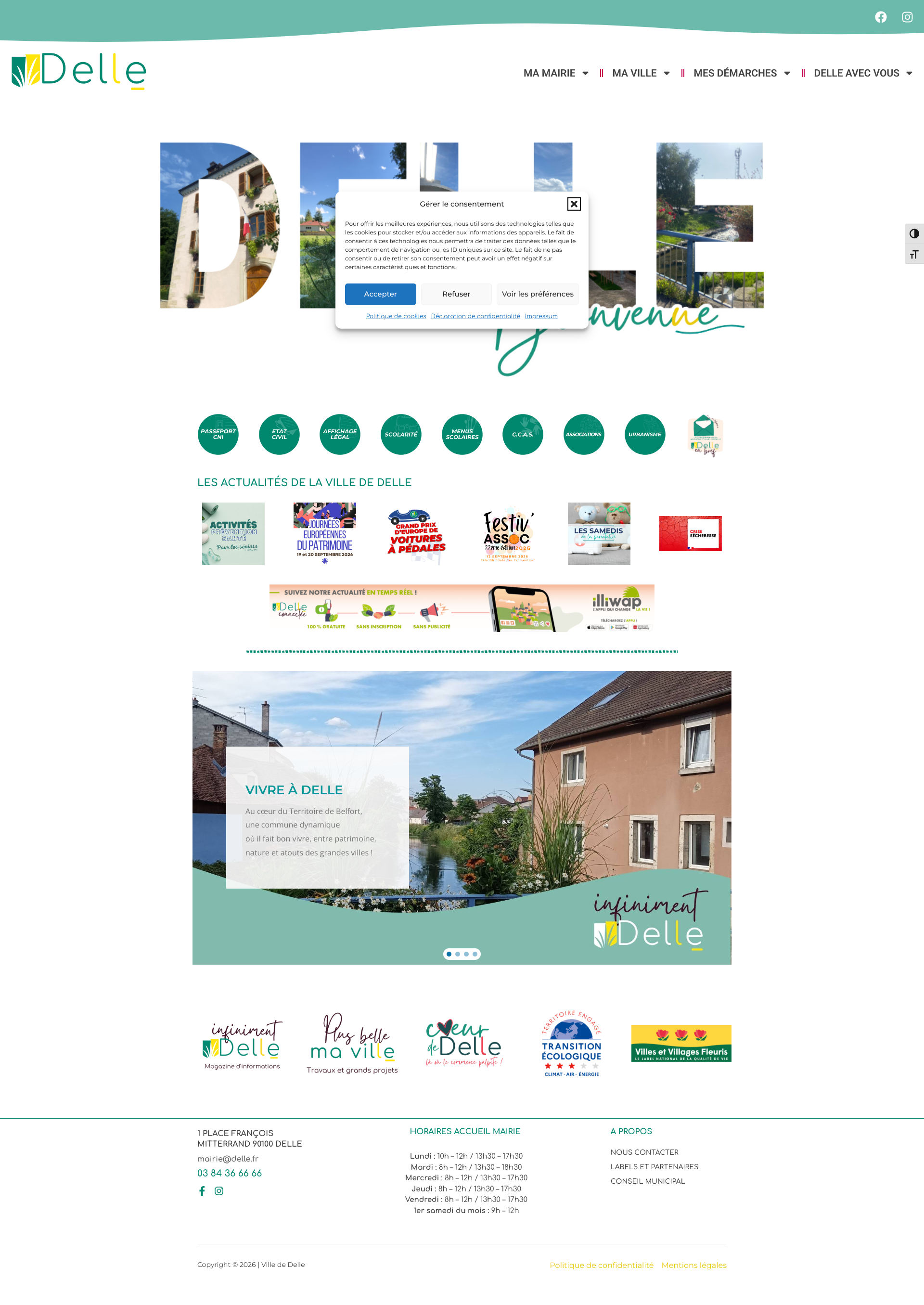 Aperçu du site