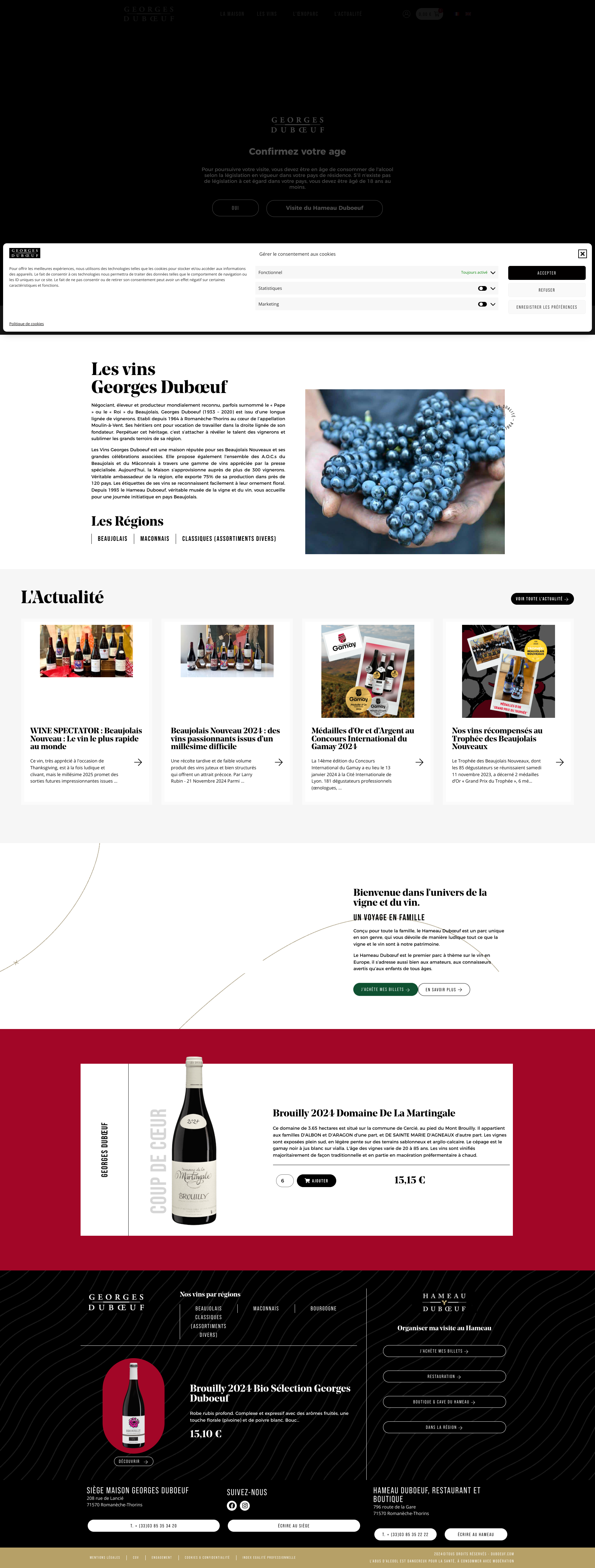 Aperçu du site