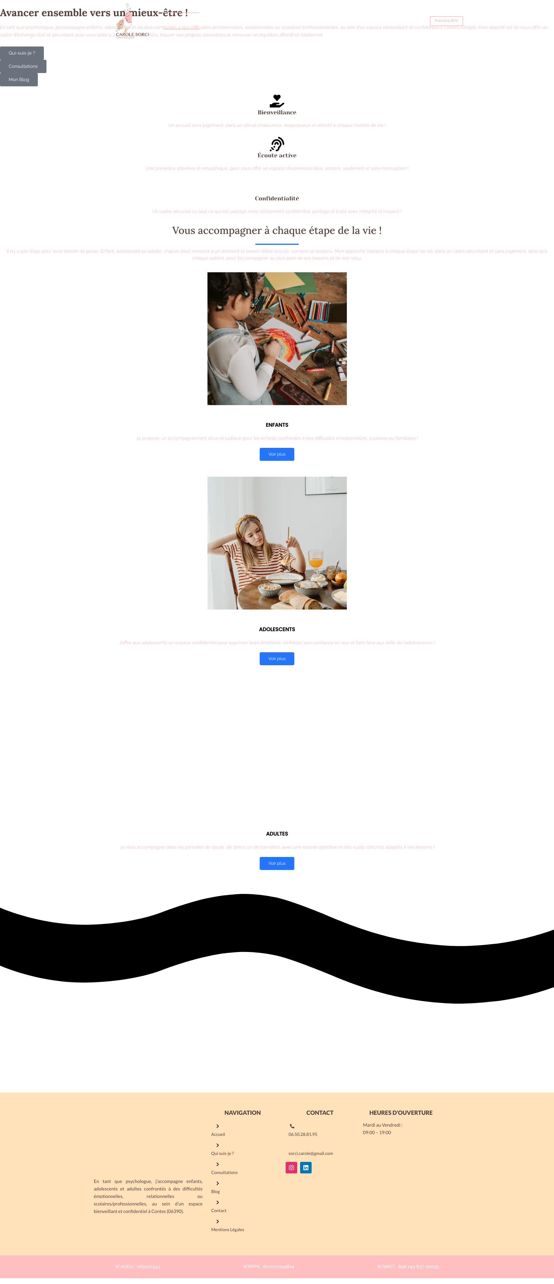 Aperçu du site