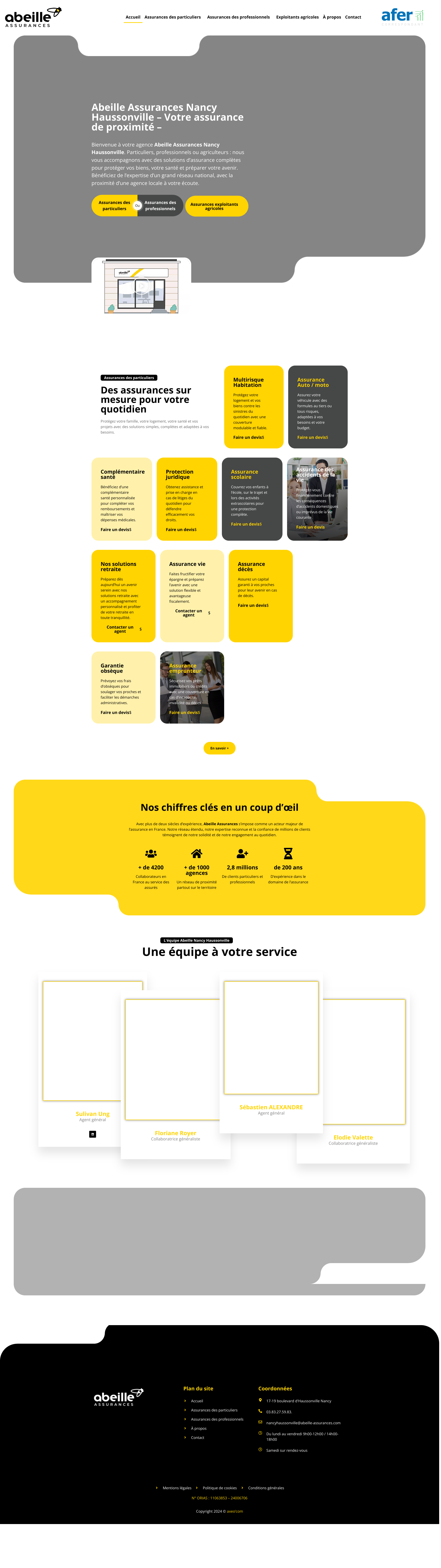 Aperçu du site