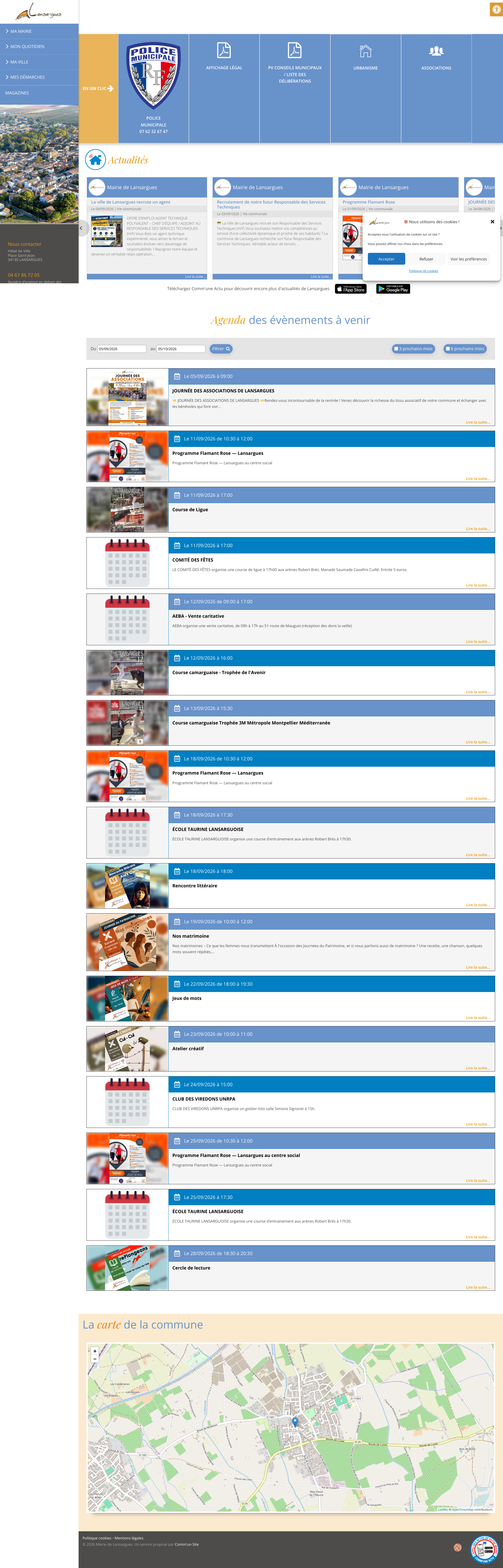 Aperçu du site