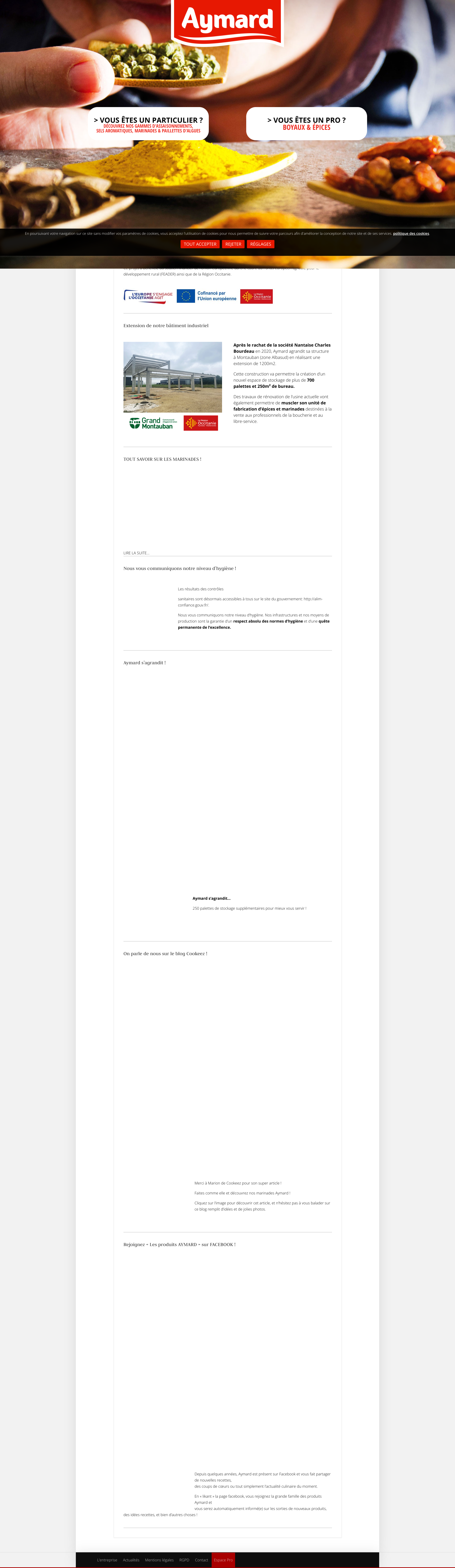 Aperçu du site