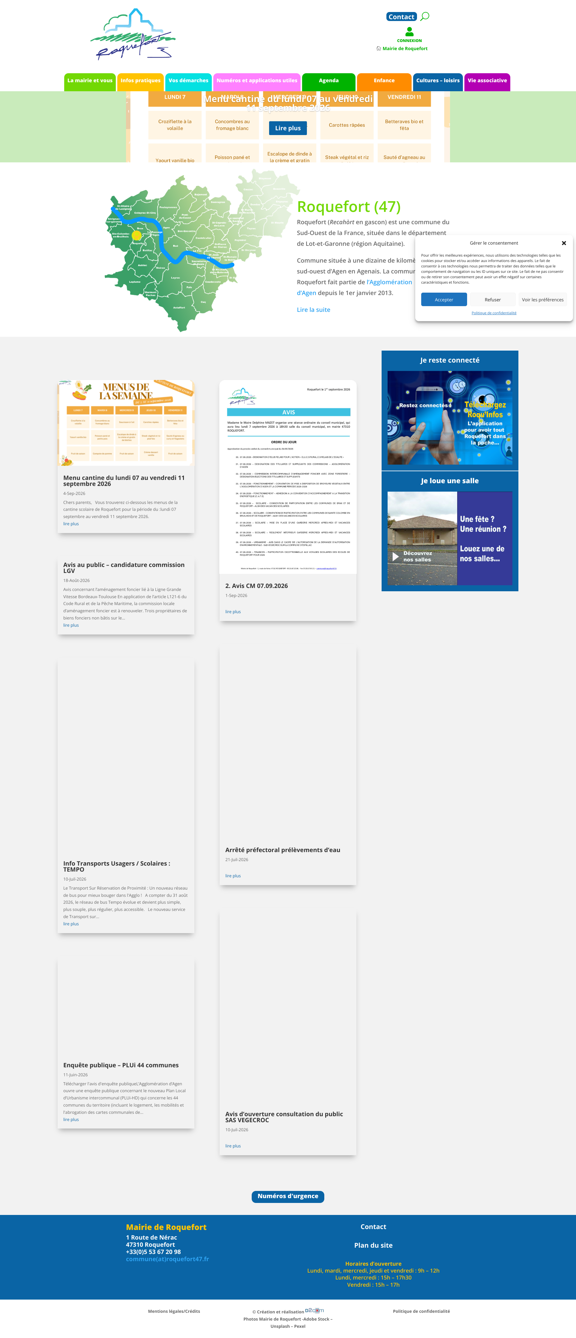 Aperçu du site