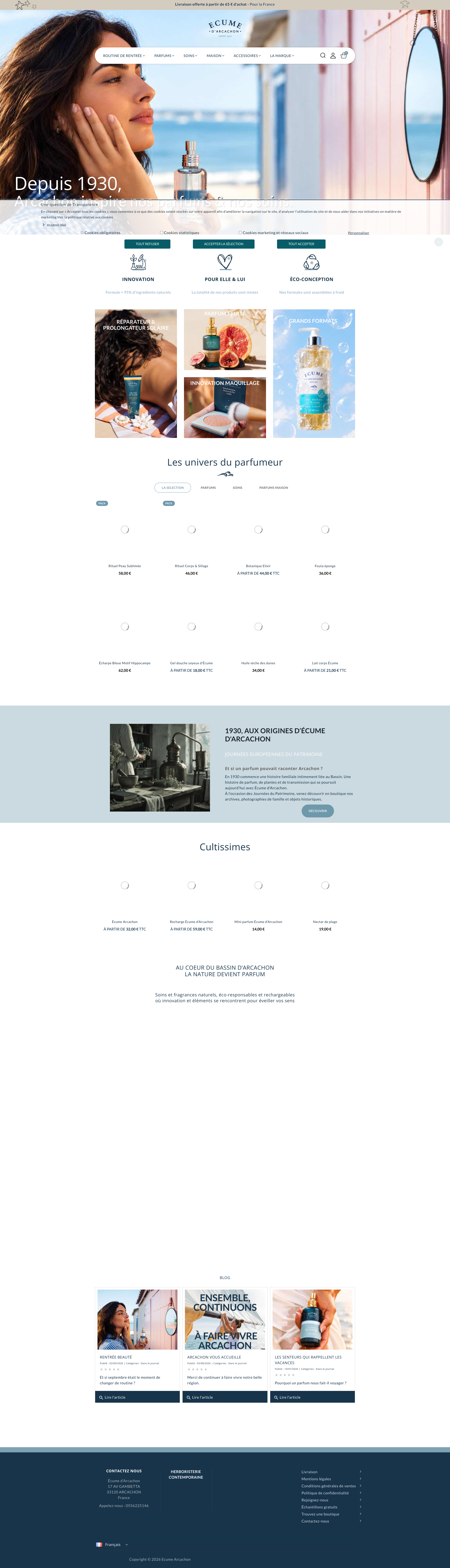 Aperçu du site