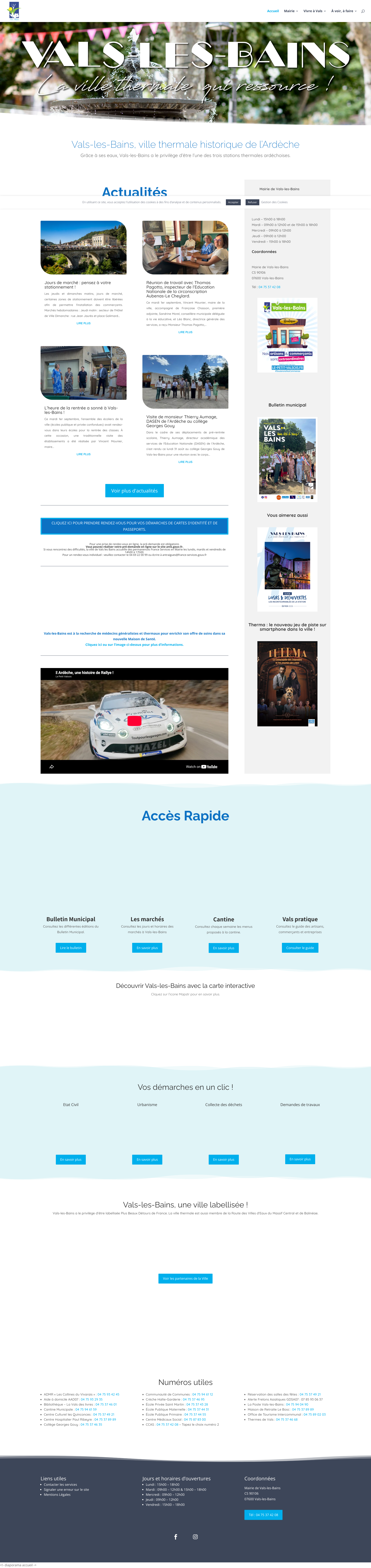 Aperçu du site