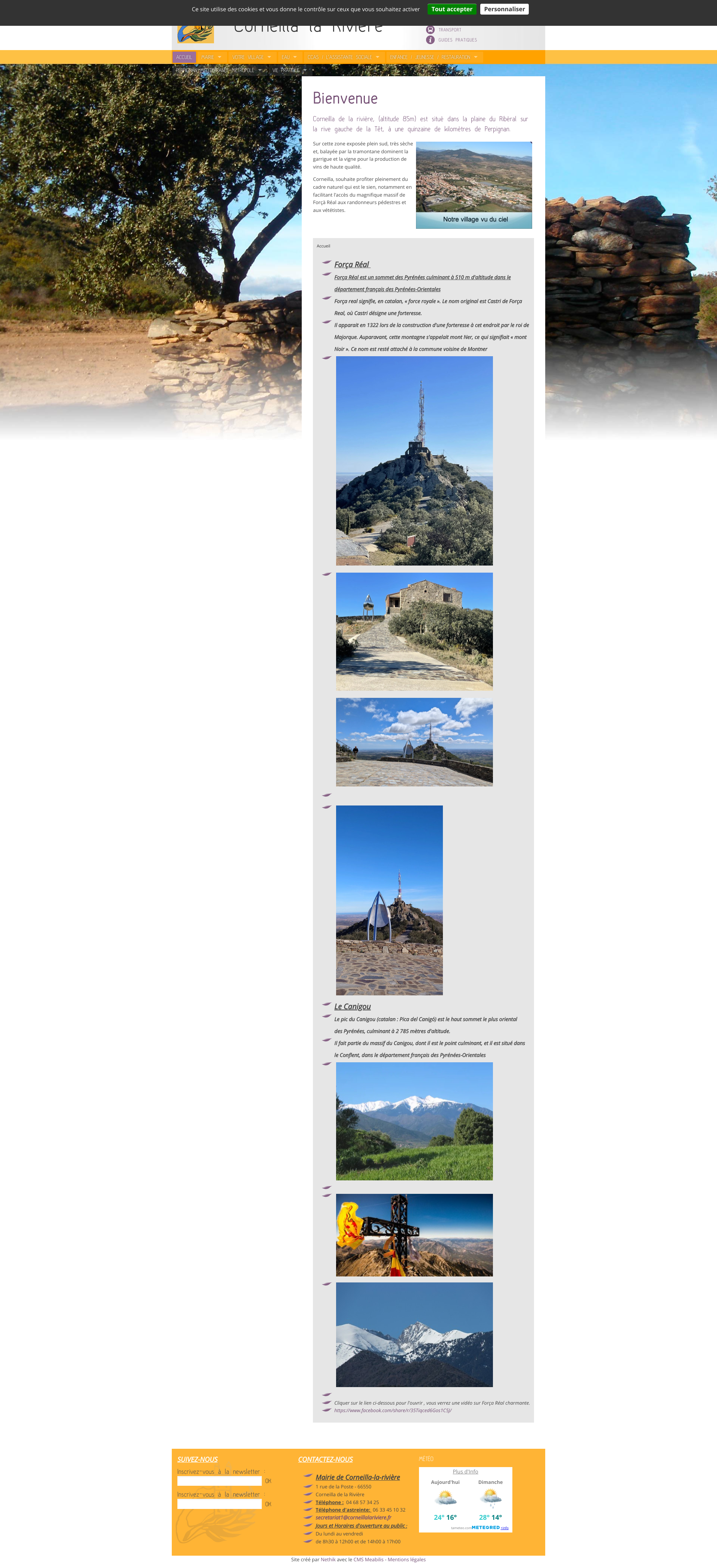 Aperçu du site