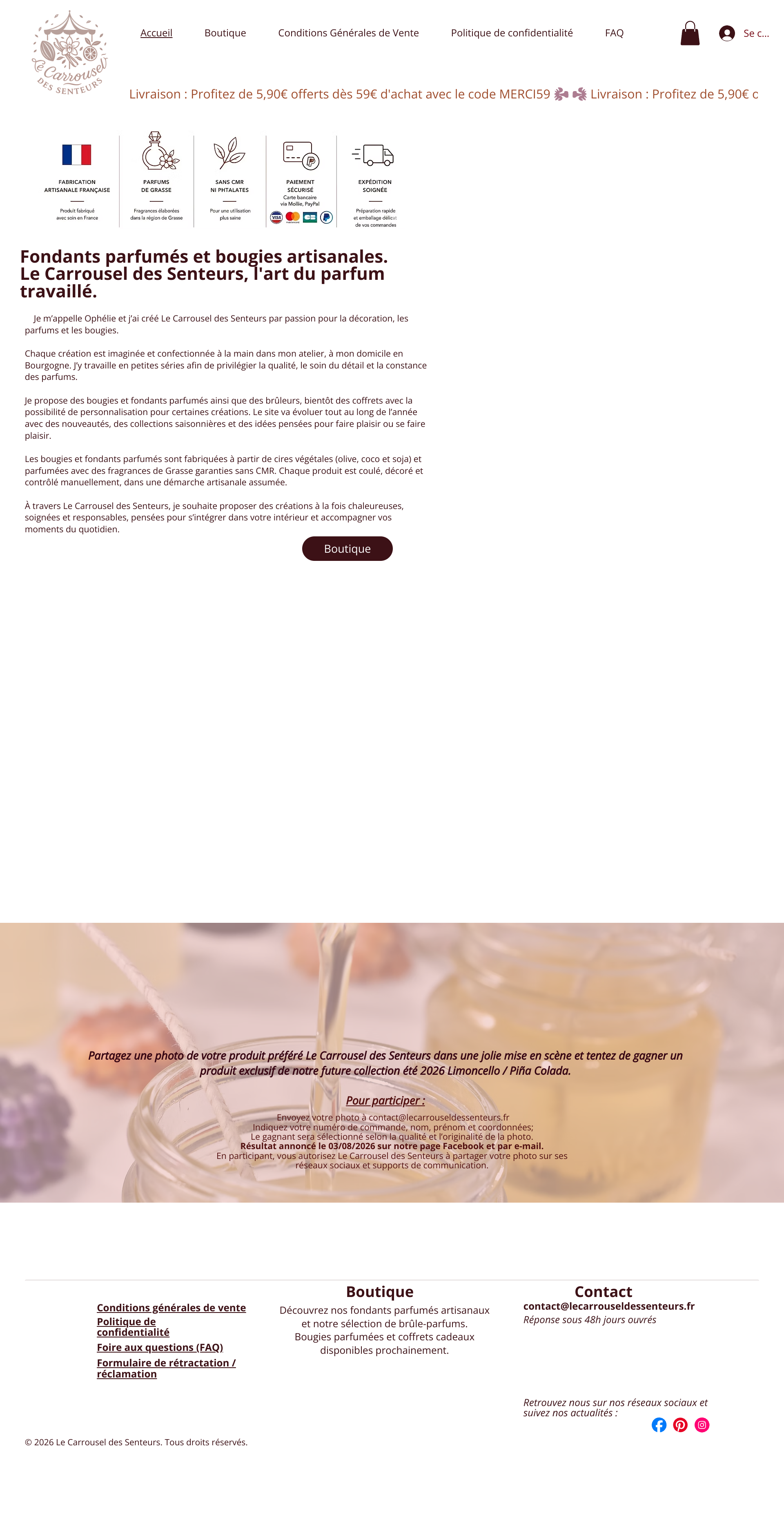 Aperçu du site