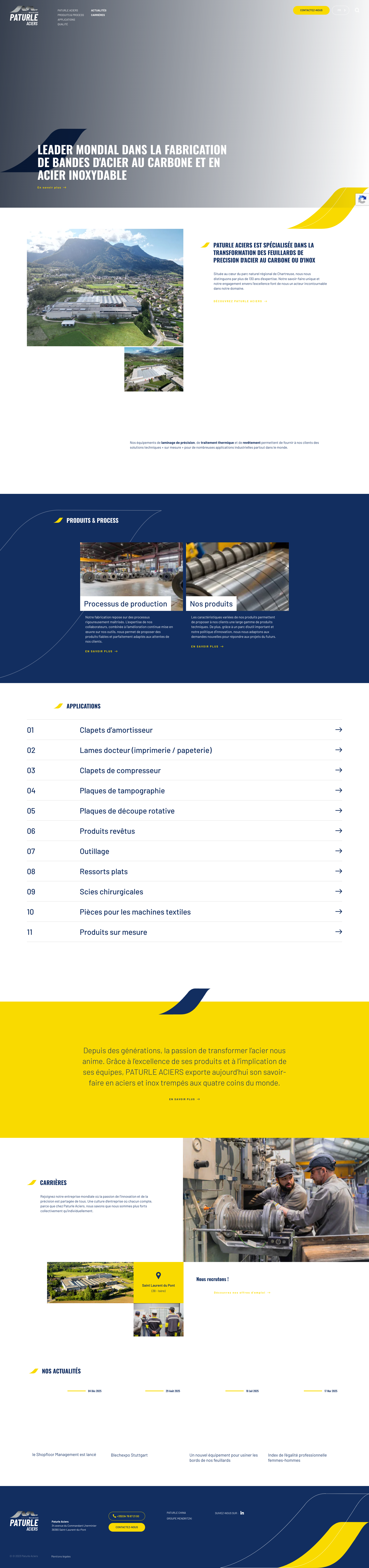 Aperçu du site