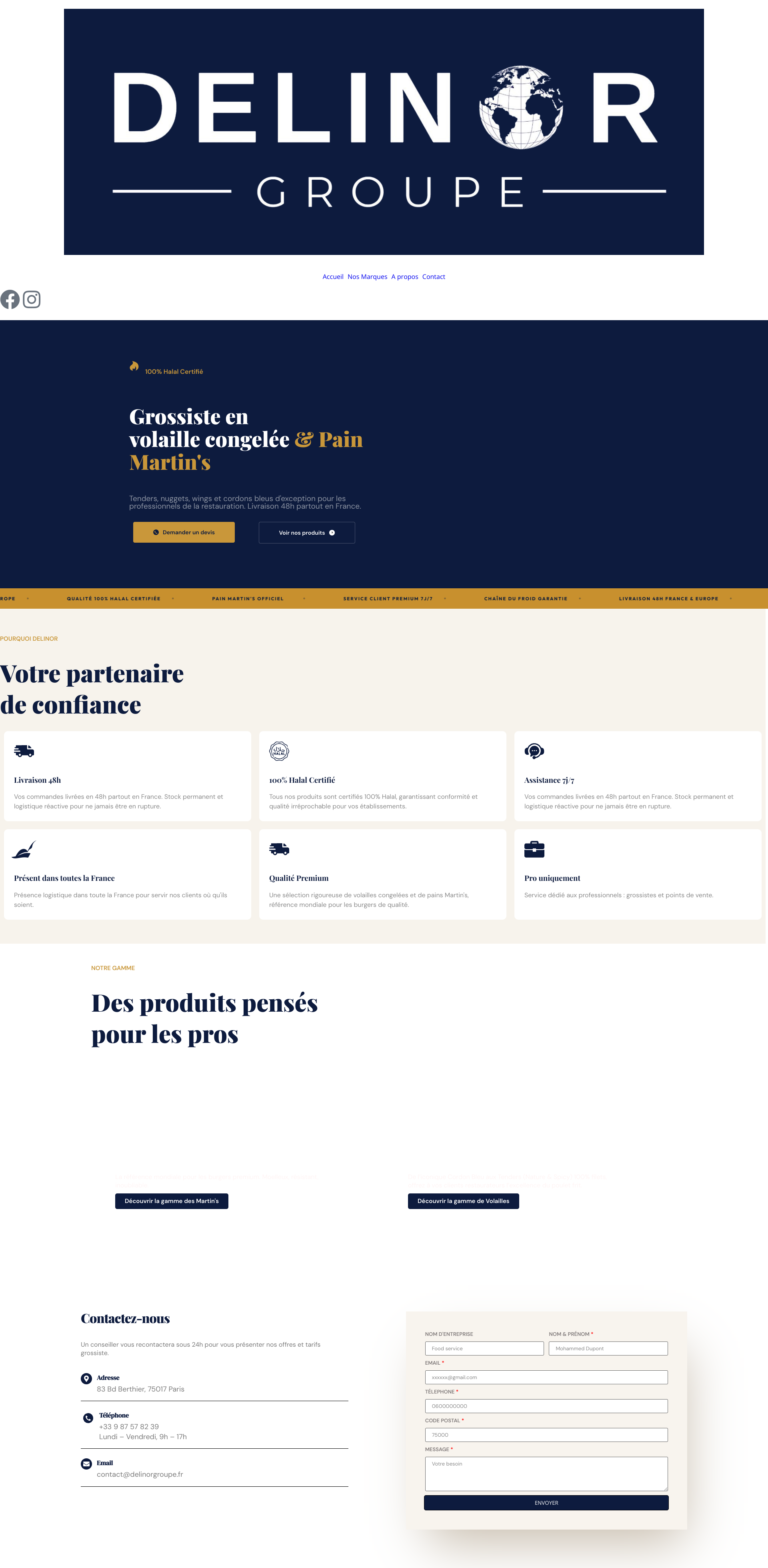 Aperçu du site