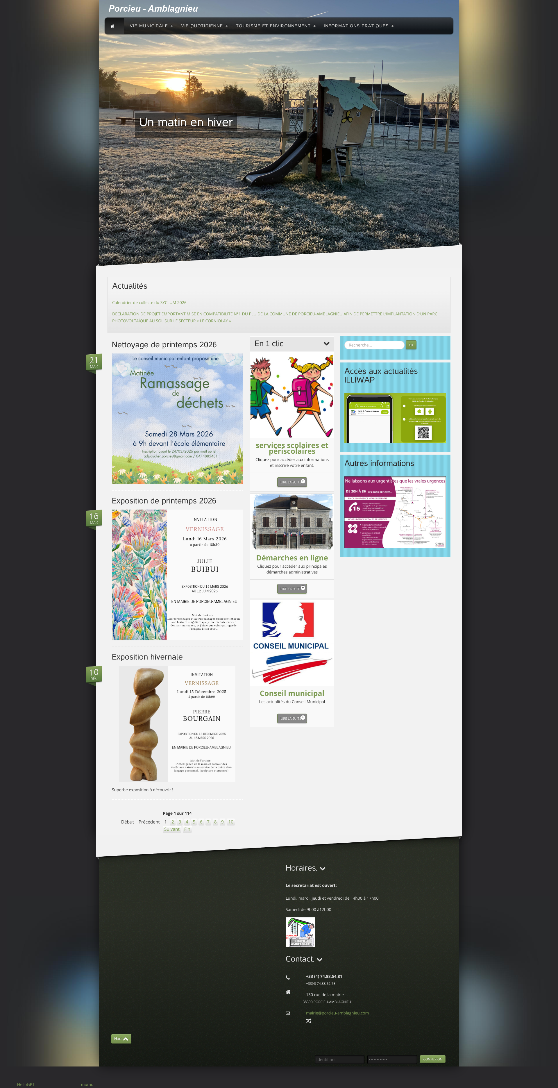 Aperçu du site