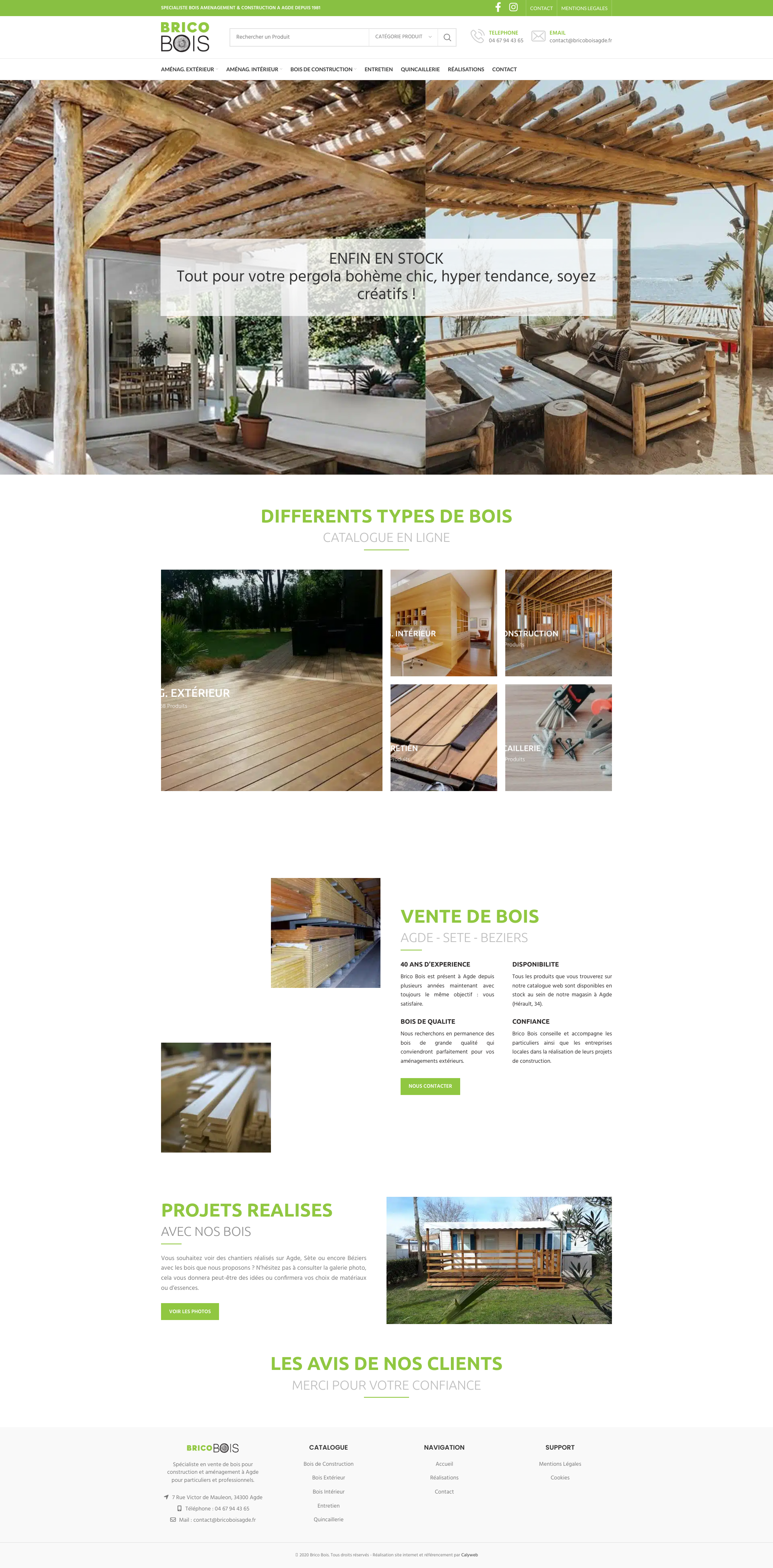 Aperçu du site