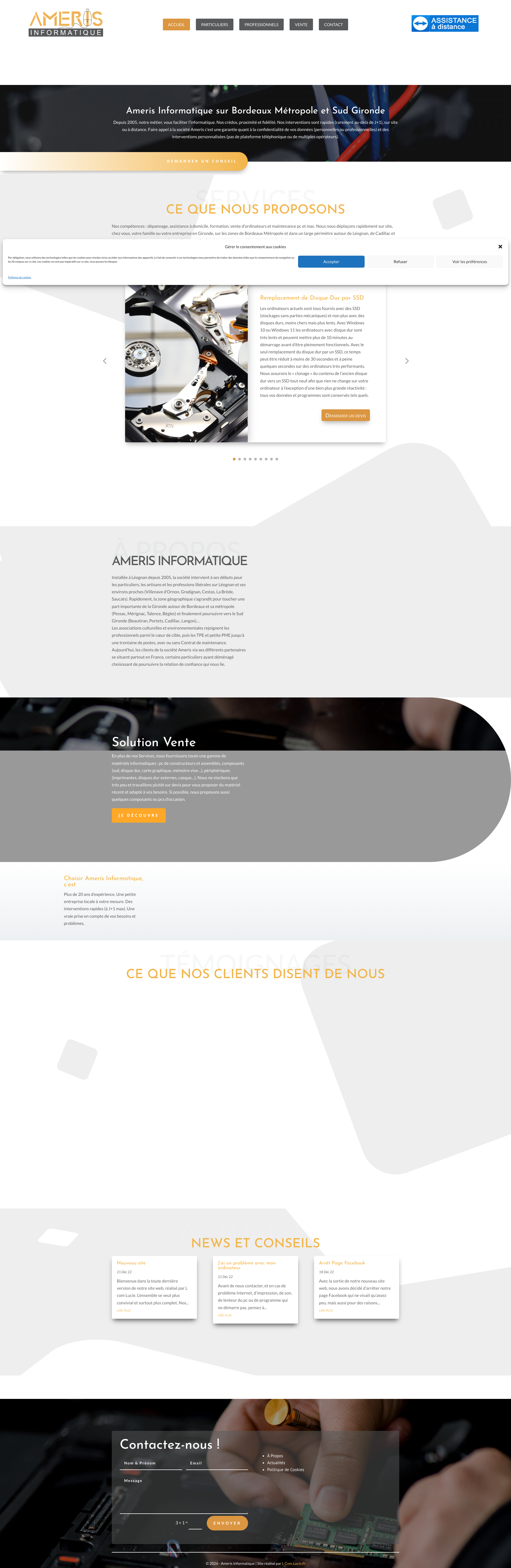 Aperçu du site