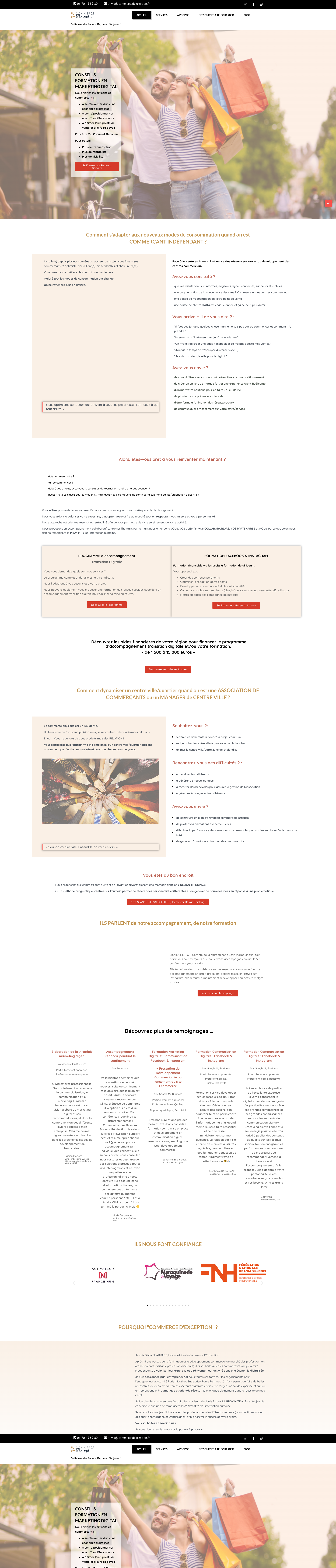 Aperçu du site