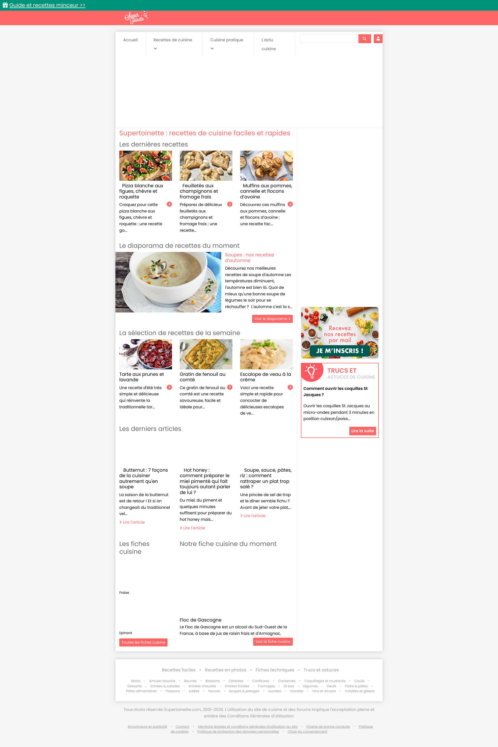 Aperçu du site