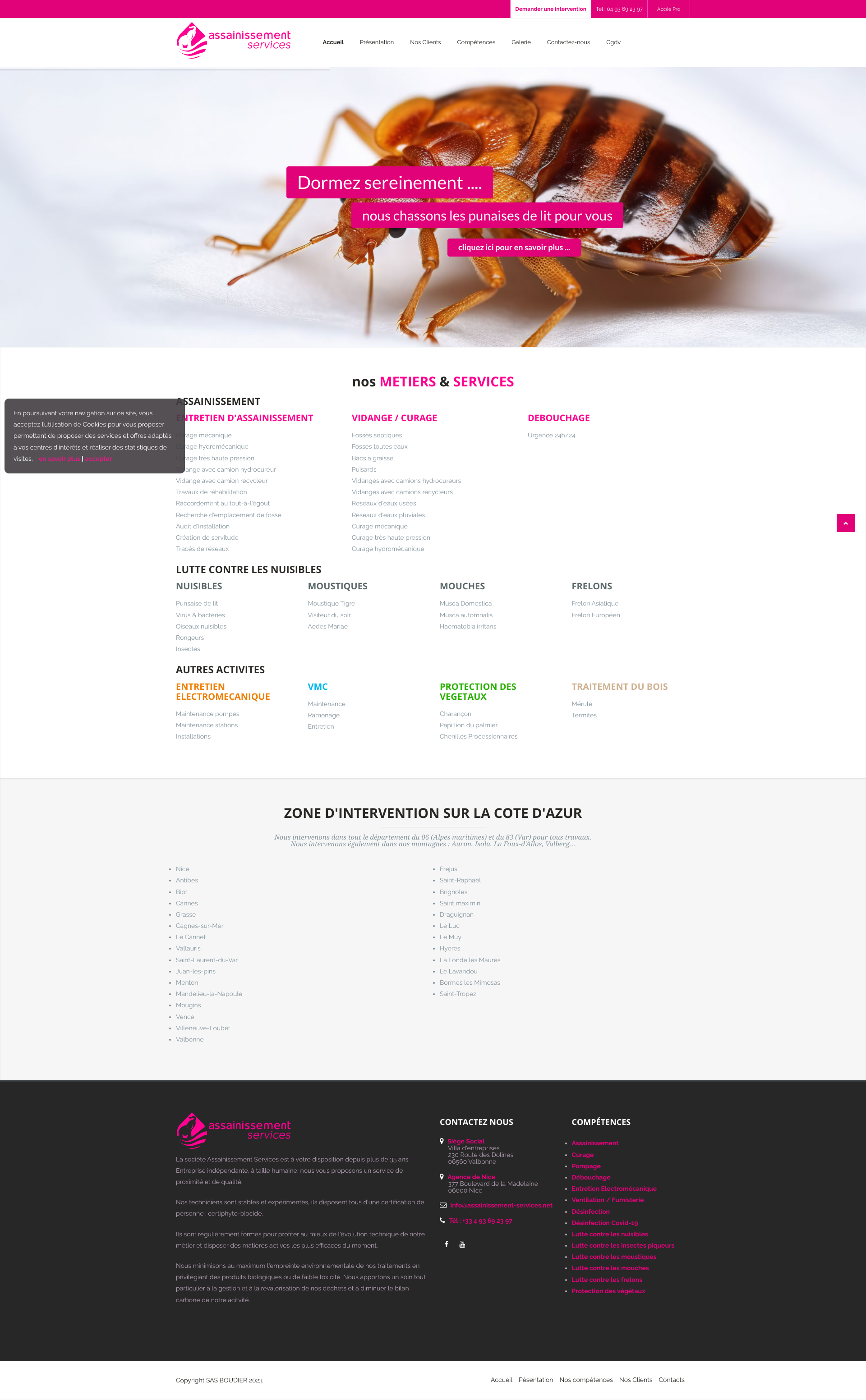 Aperçu du site