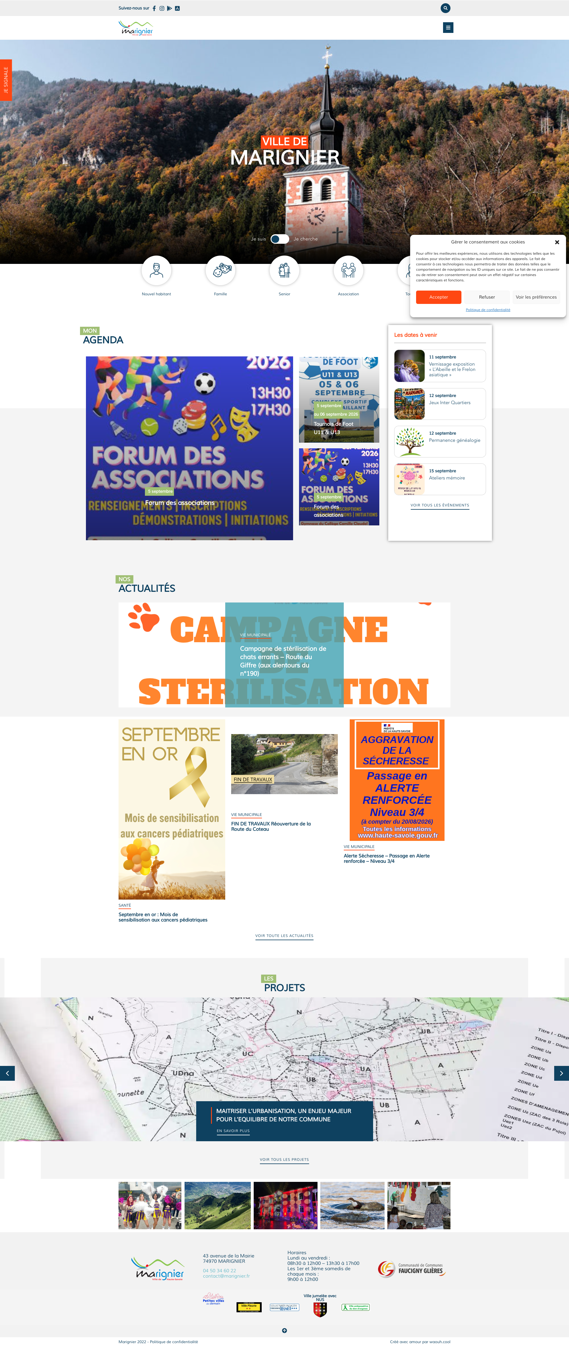 Aperçu du site