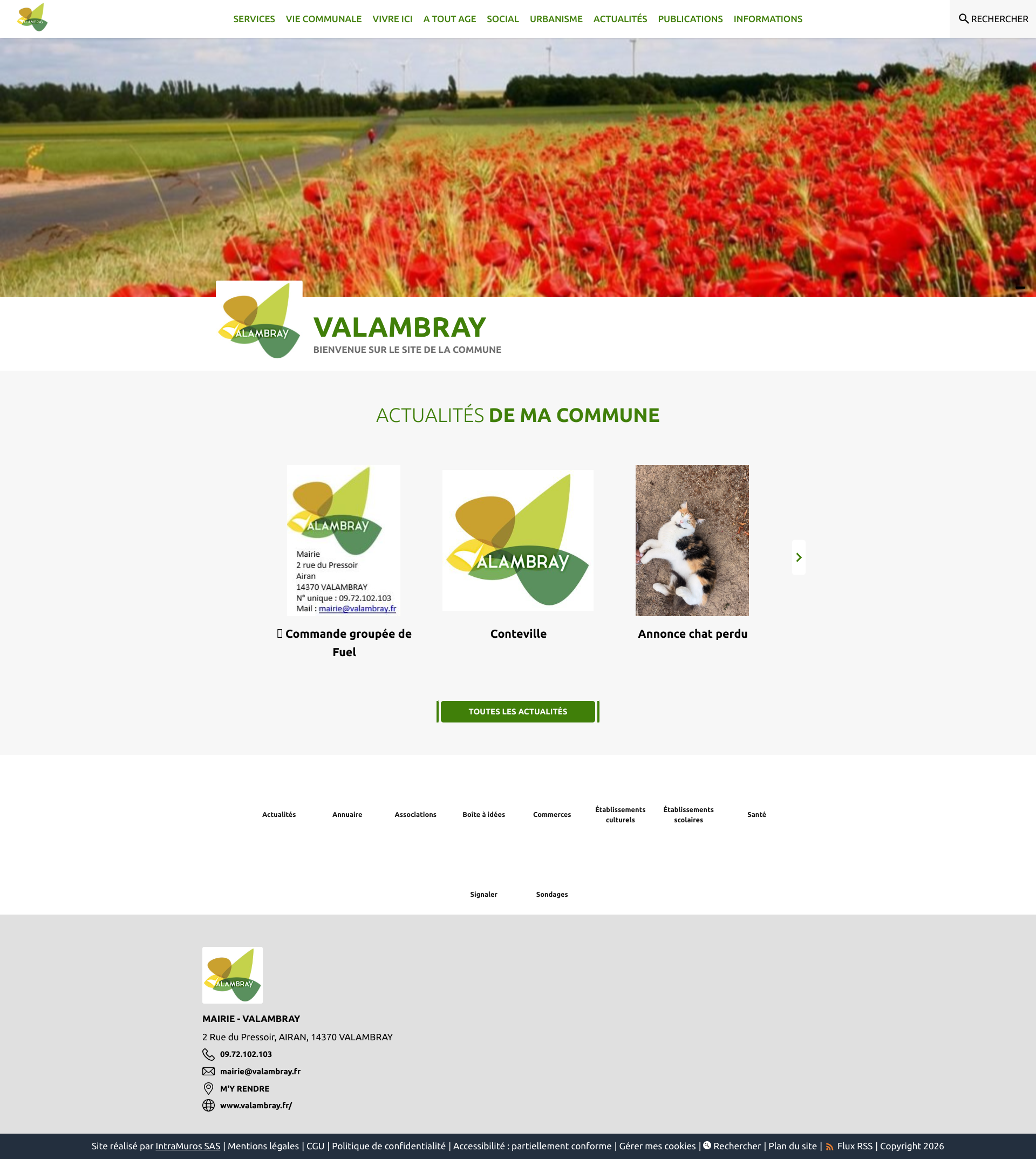 Aperçu du site