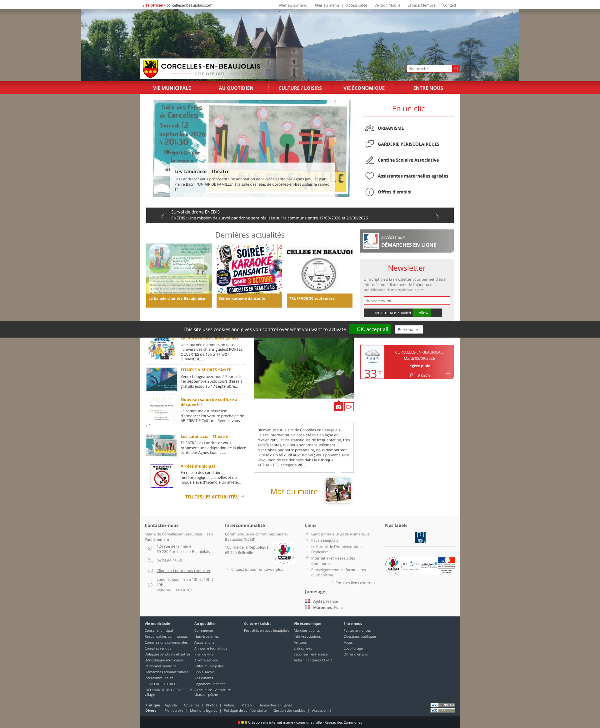 Aperçu du site
