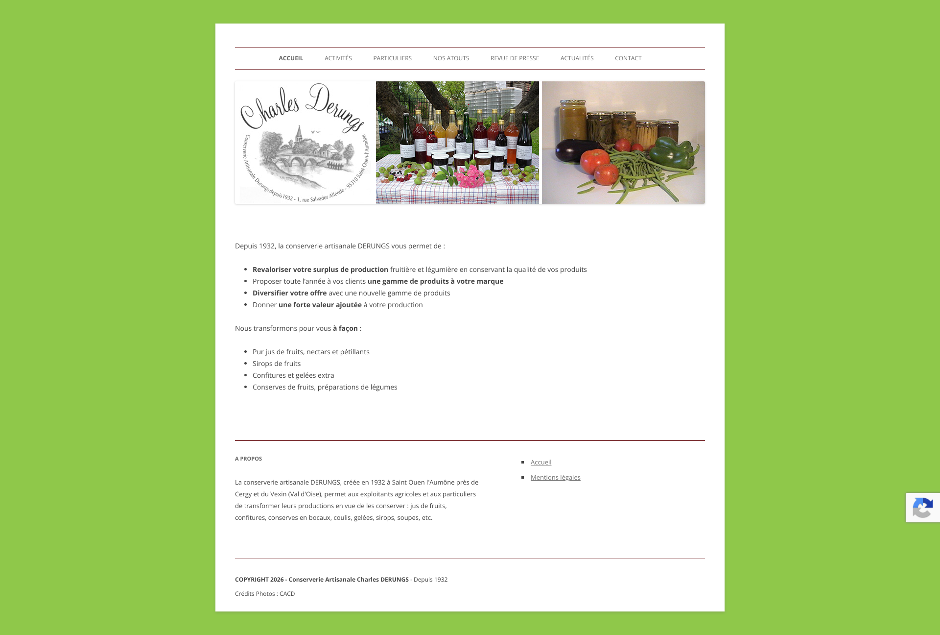 Aperçu du site