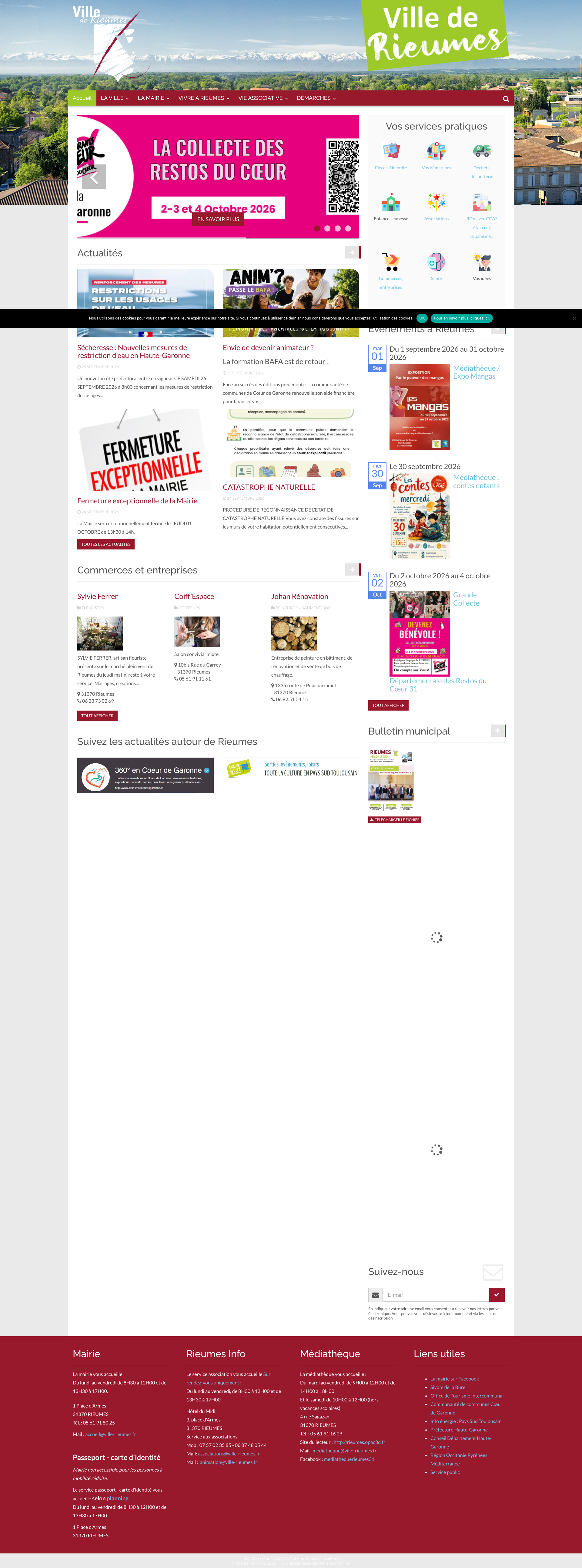 Aperçu du site