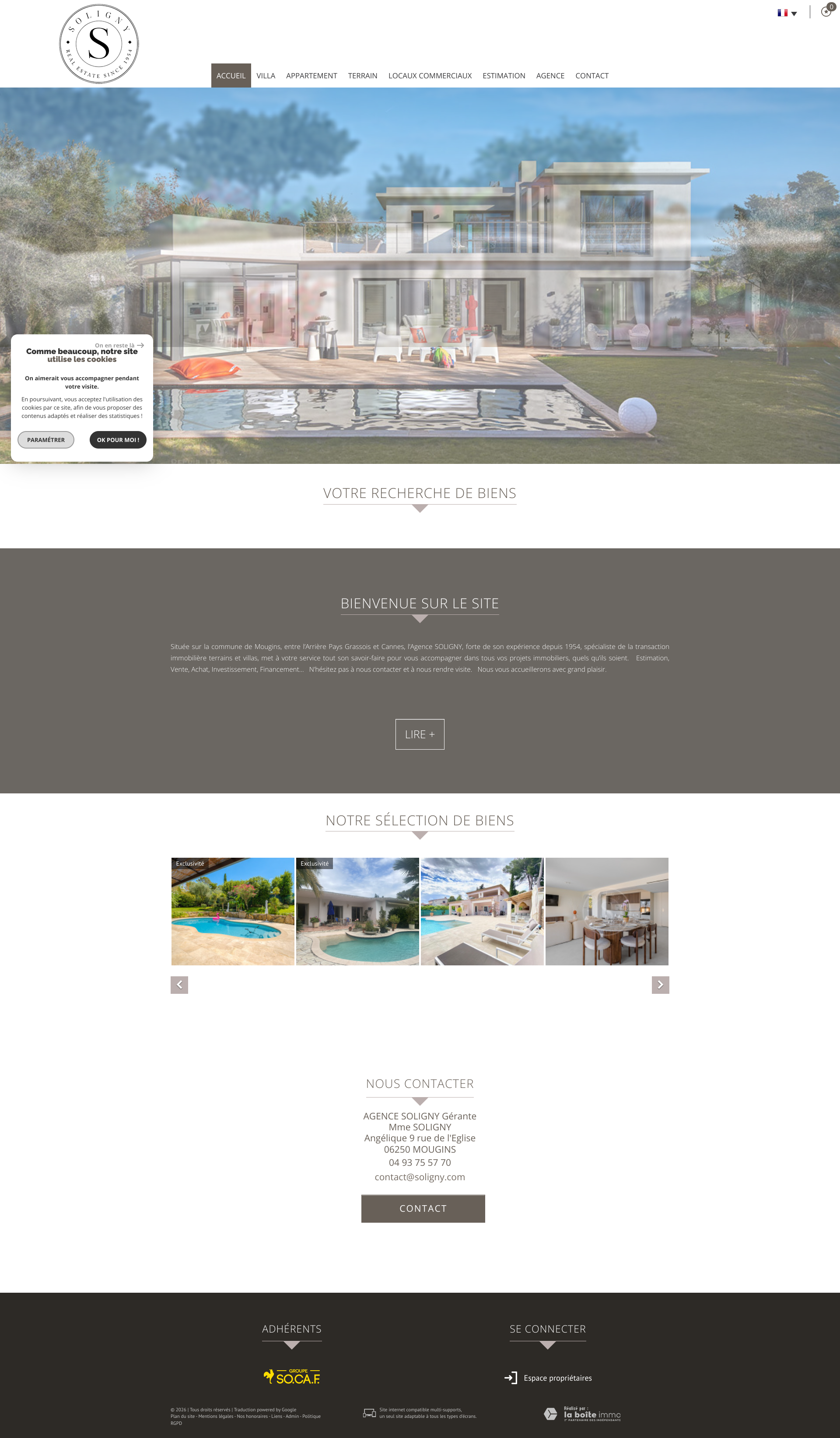 Aperçu du site